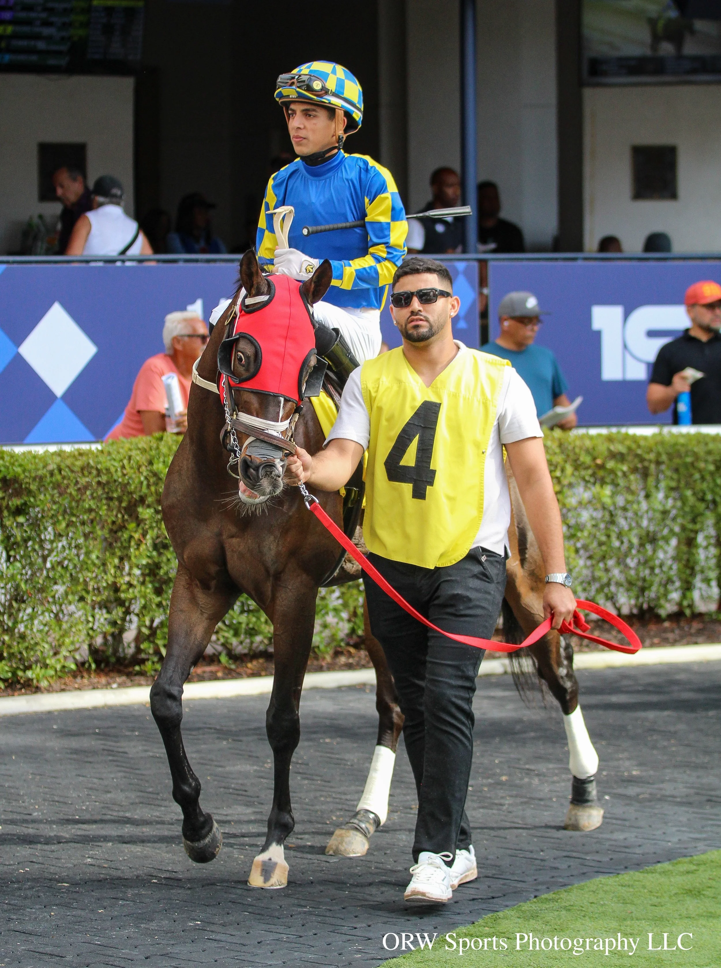 Loud Applause and Yolber Torres 