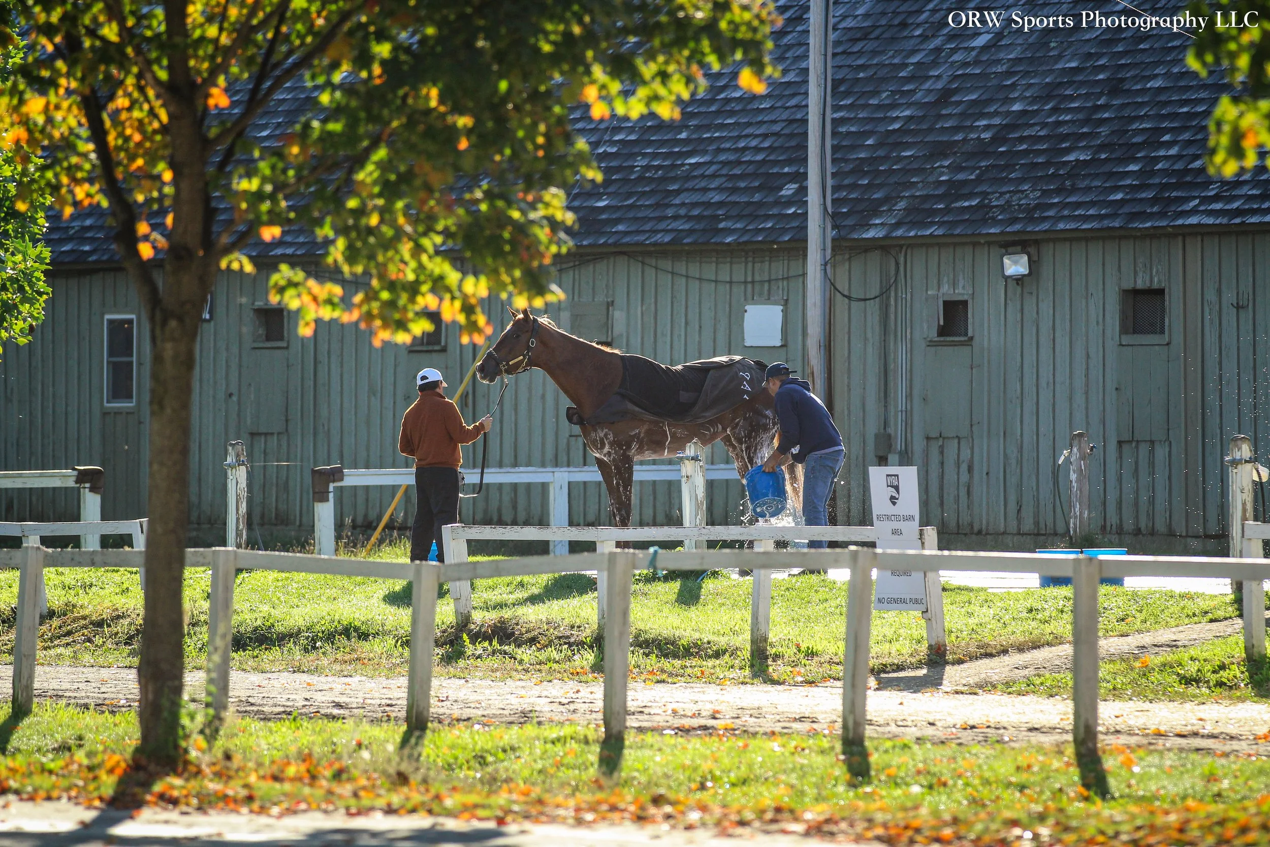 Pletcher Trainee .jpg