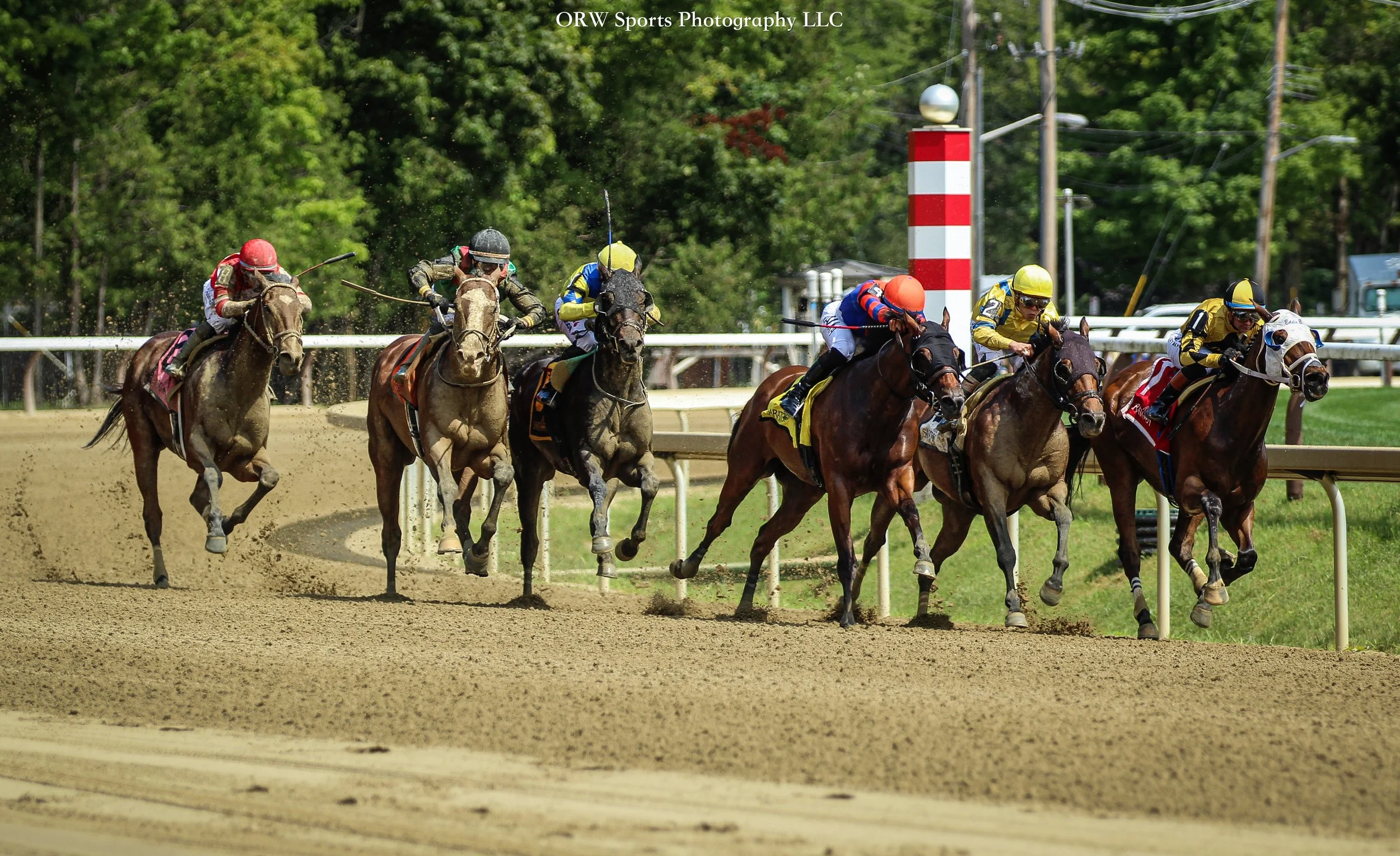 Race 5 