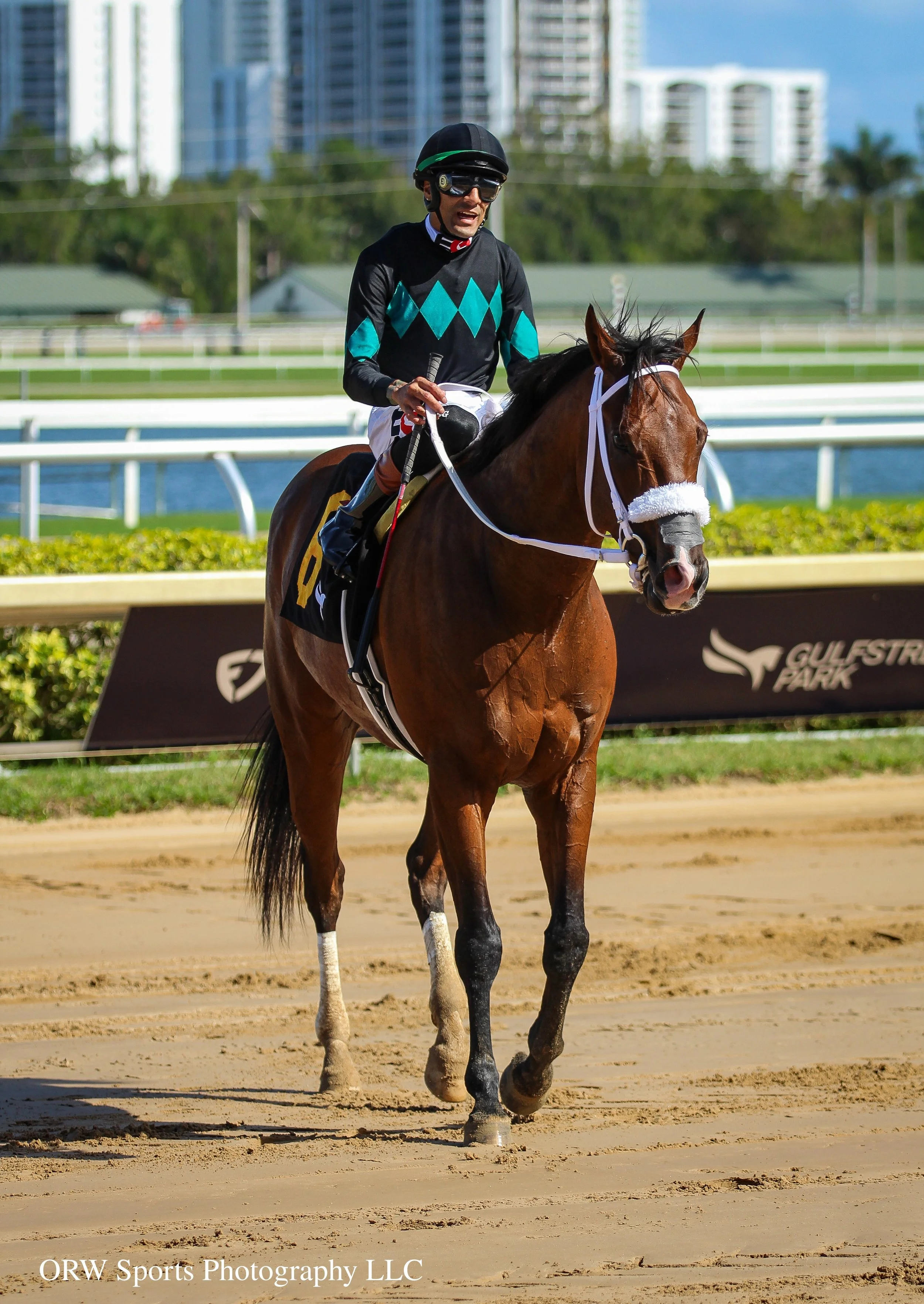 Speed Figures and Edwin Gonzalez (10).jpg