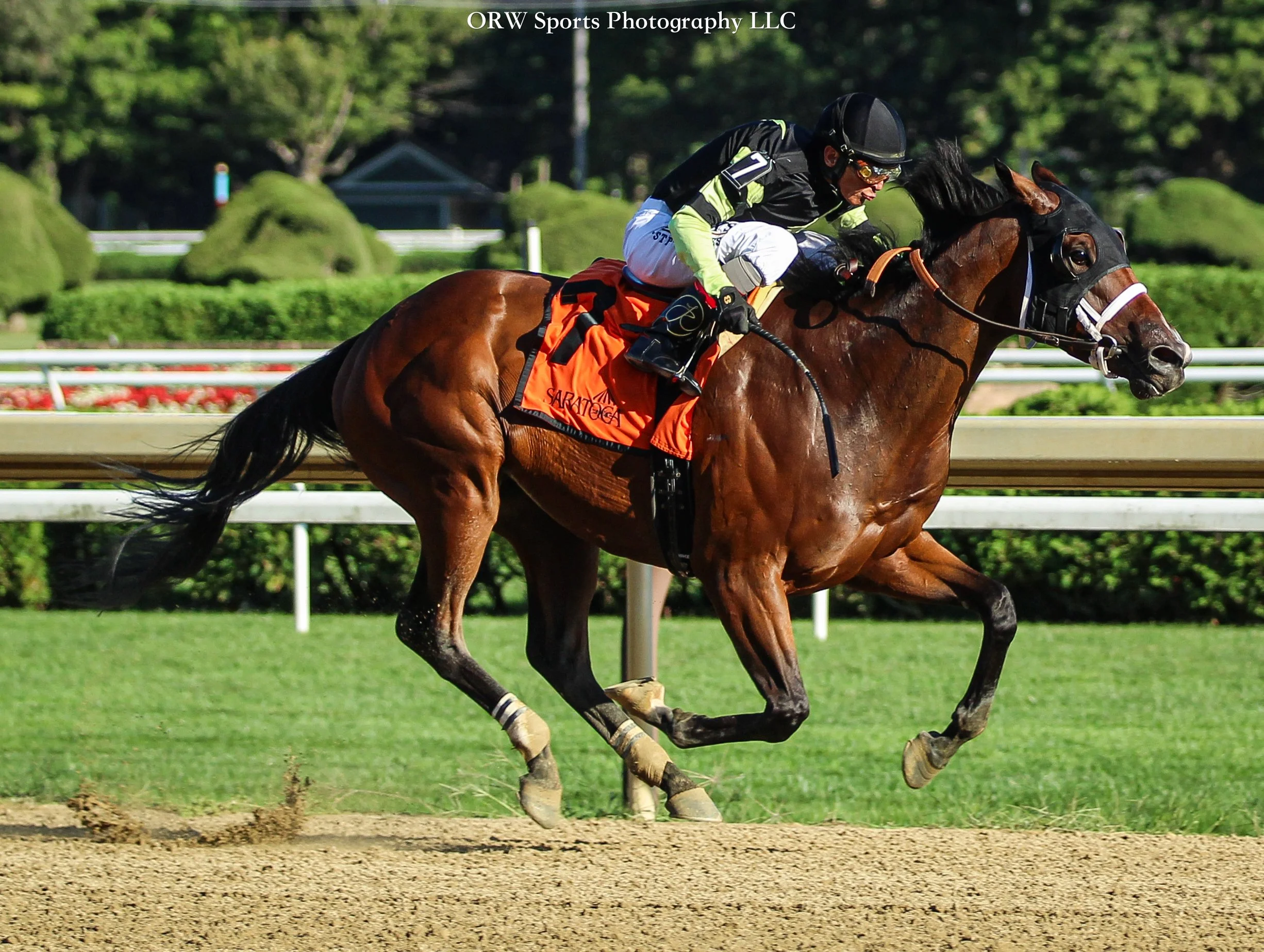 Bogus Operandi and John Velazquez 