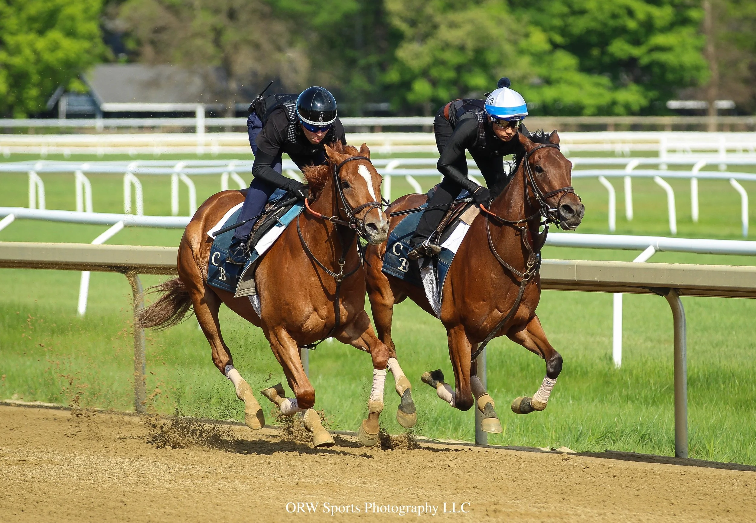Chad Brown trainees