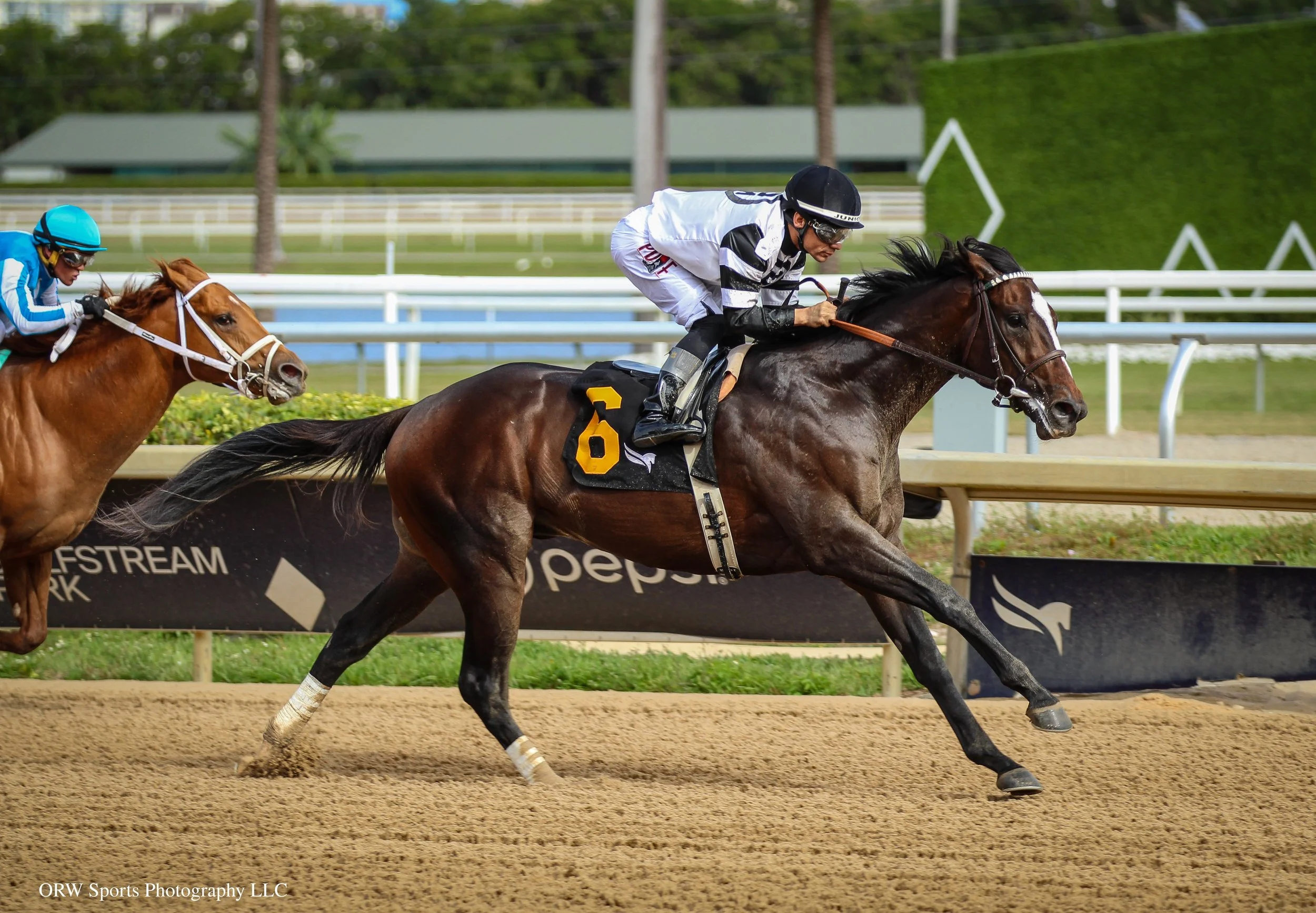 Chief Wallabee and Junior Alvarado (7).jpg