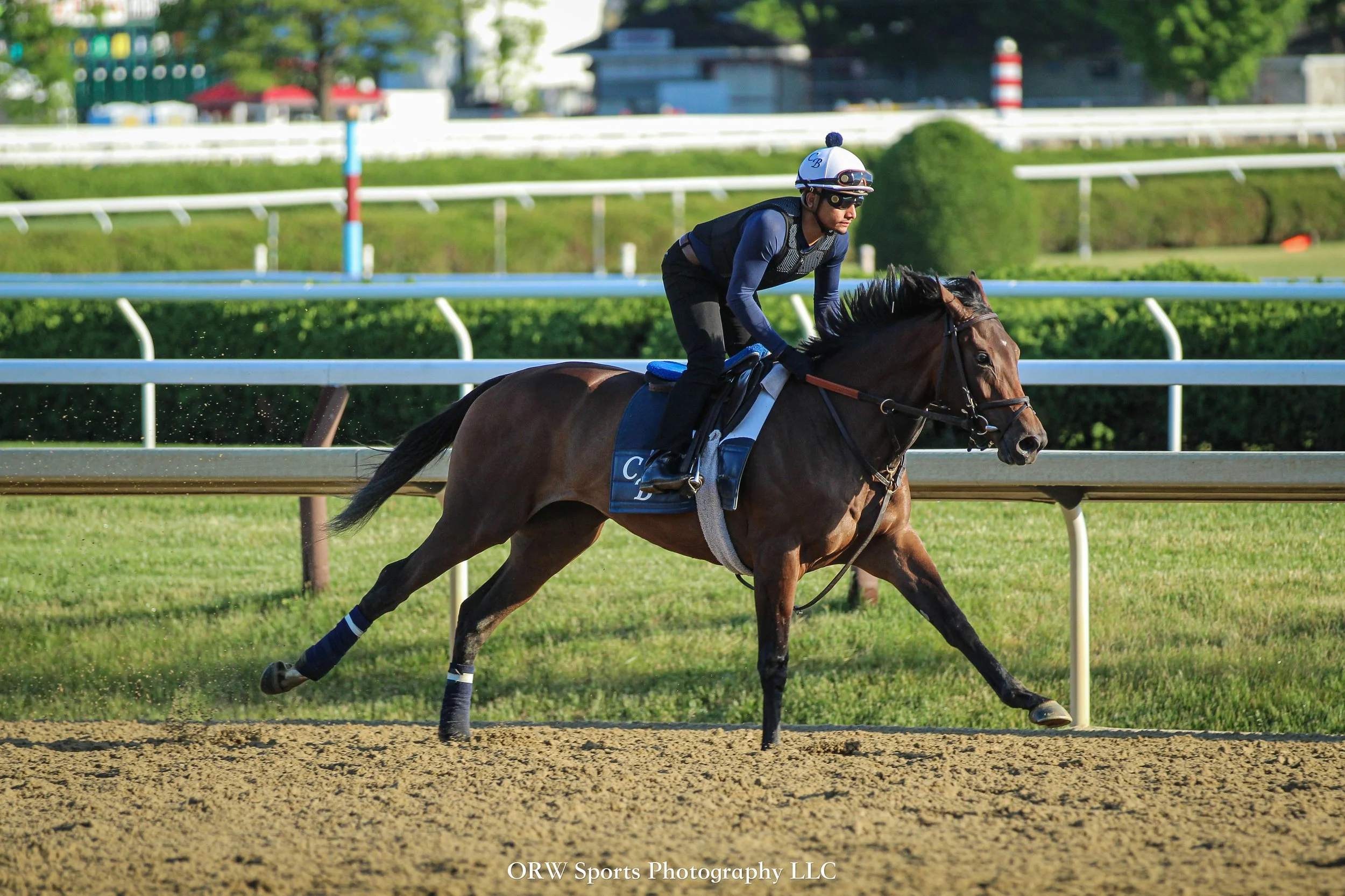 Chad Brown Trainee 