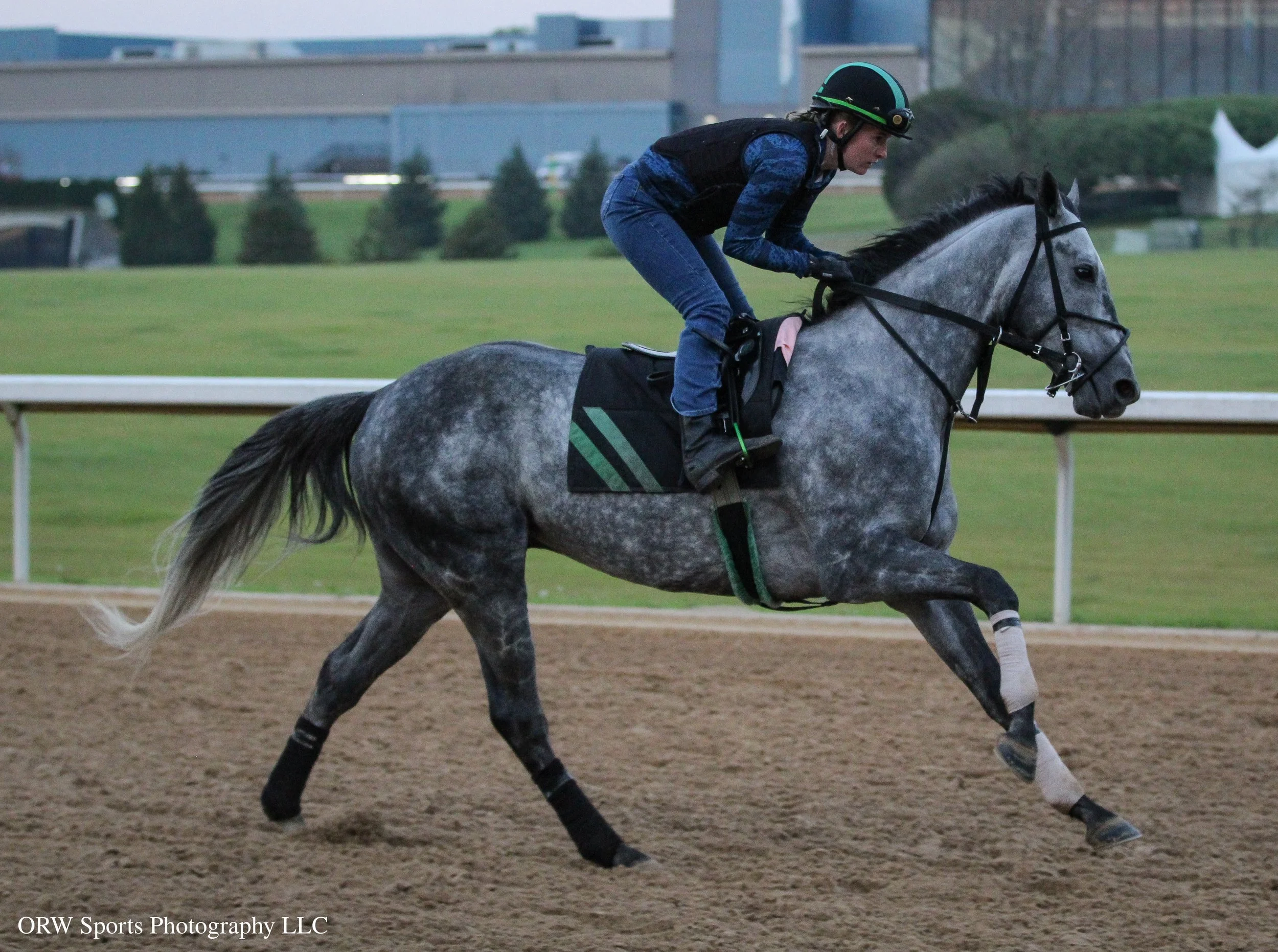 Moe Eighty Eight - trained by John Ortiz 