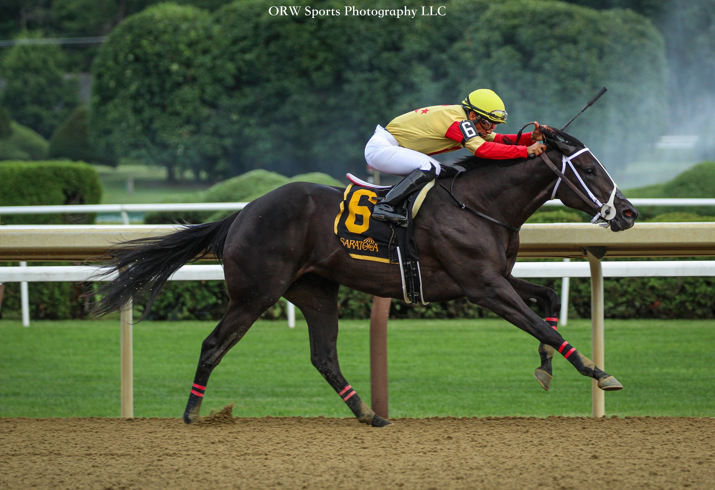 Herper's Corner and Paco Lopez take the Schuylerville Stakes 