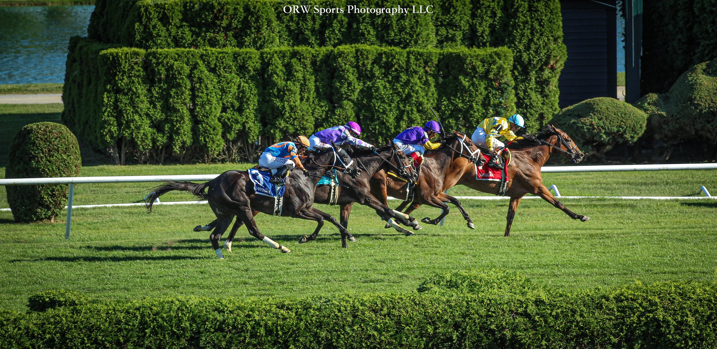 Evershed takes the Grade 3 Waya Stakes 