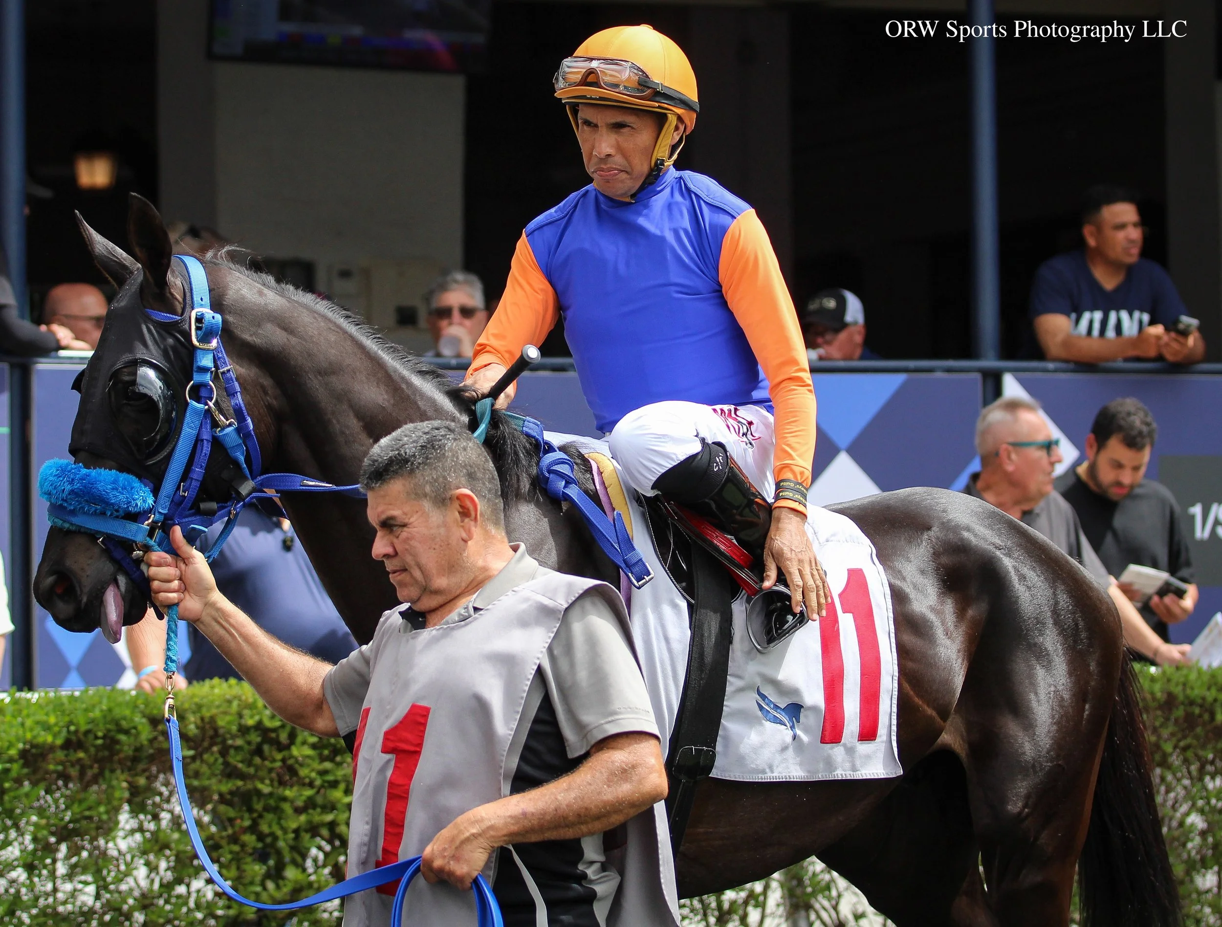 Distinguished Gent and Carlos Martinez 