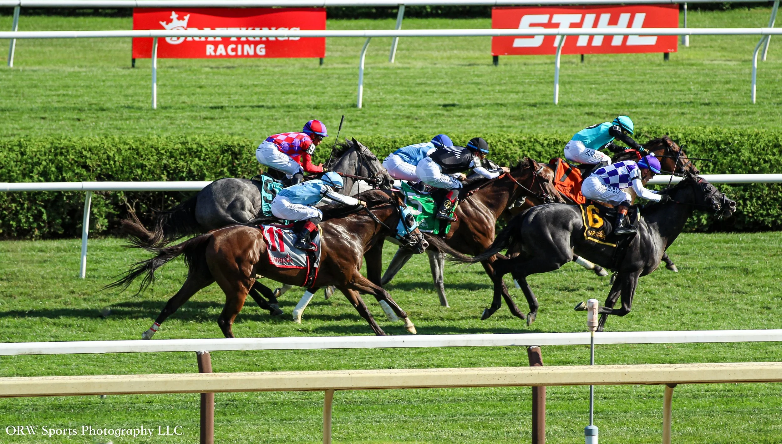 Fairy Godmother (6) found her to the front of the field to get the win for tariner Ray Handal 