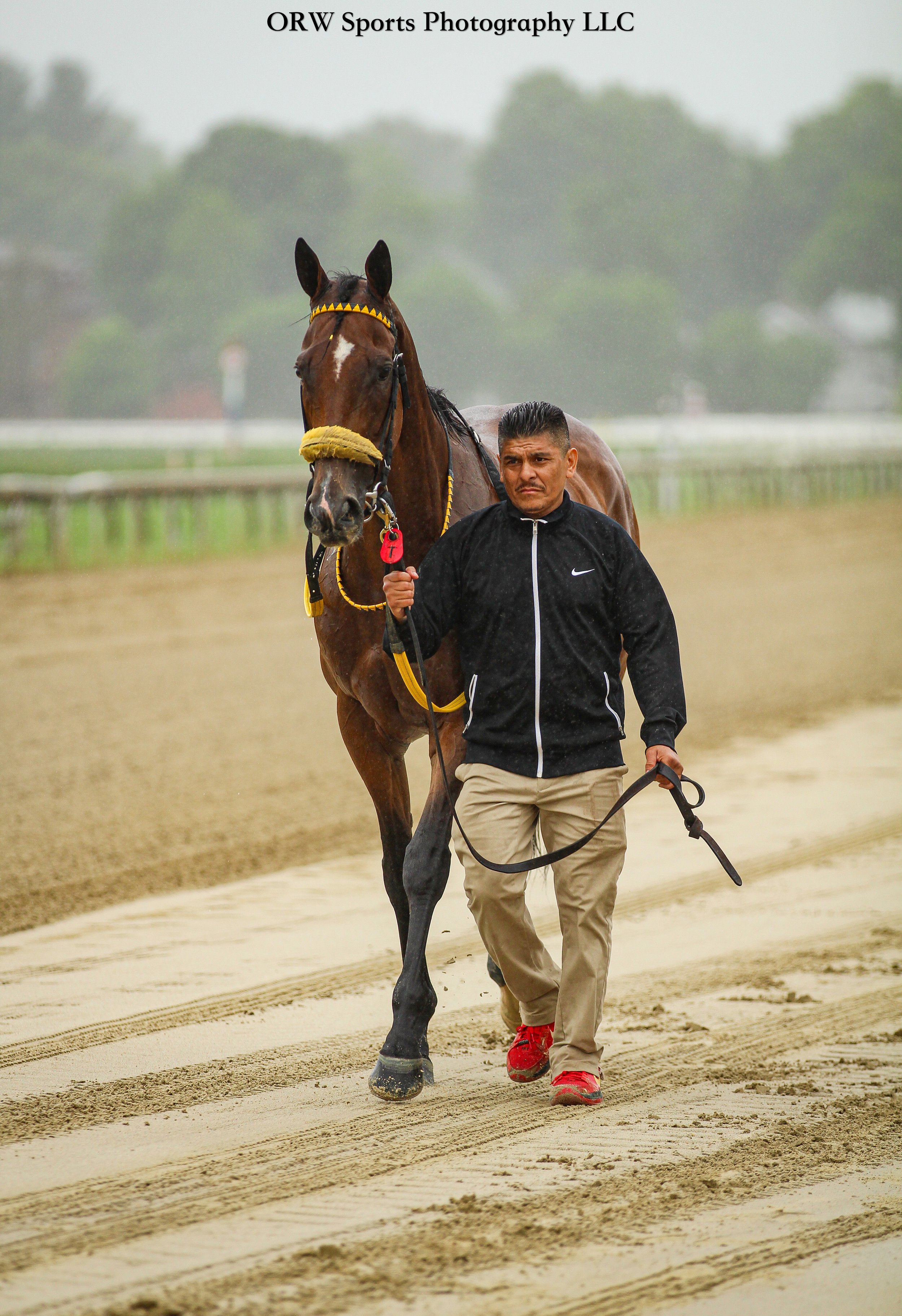 Princip pulled off the biggest upset of the Belmont meet, winning race 9 at odds of 32-1. 