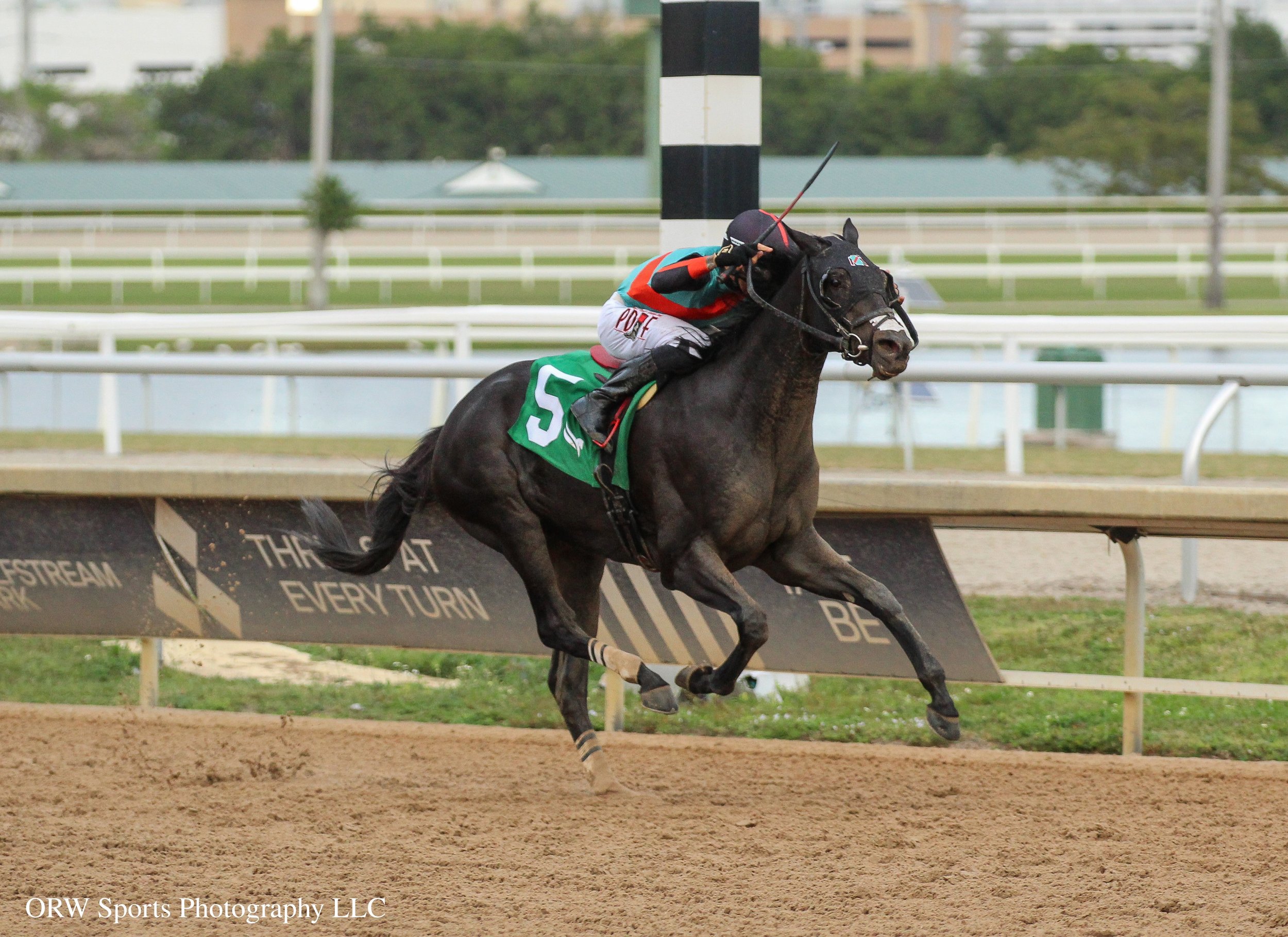 ghtning Tones and Jose Morelos win the Sunshine Classic Stakes 