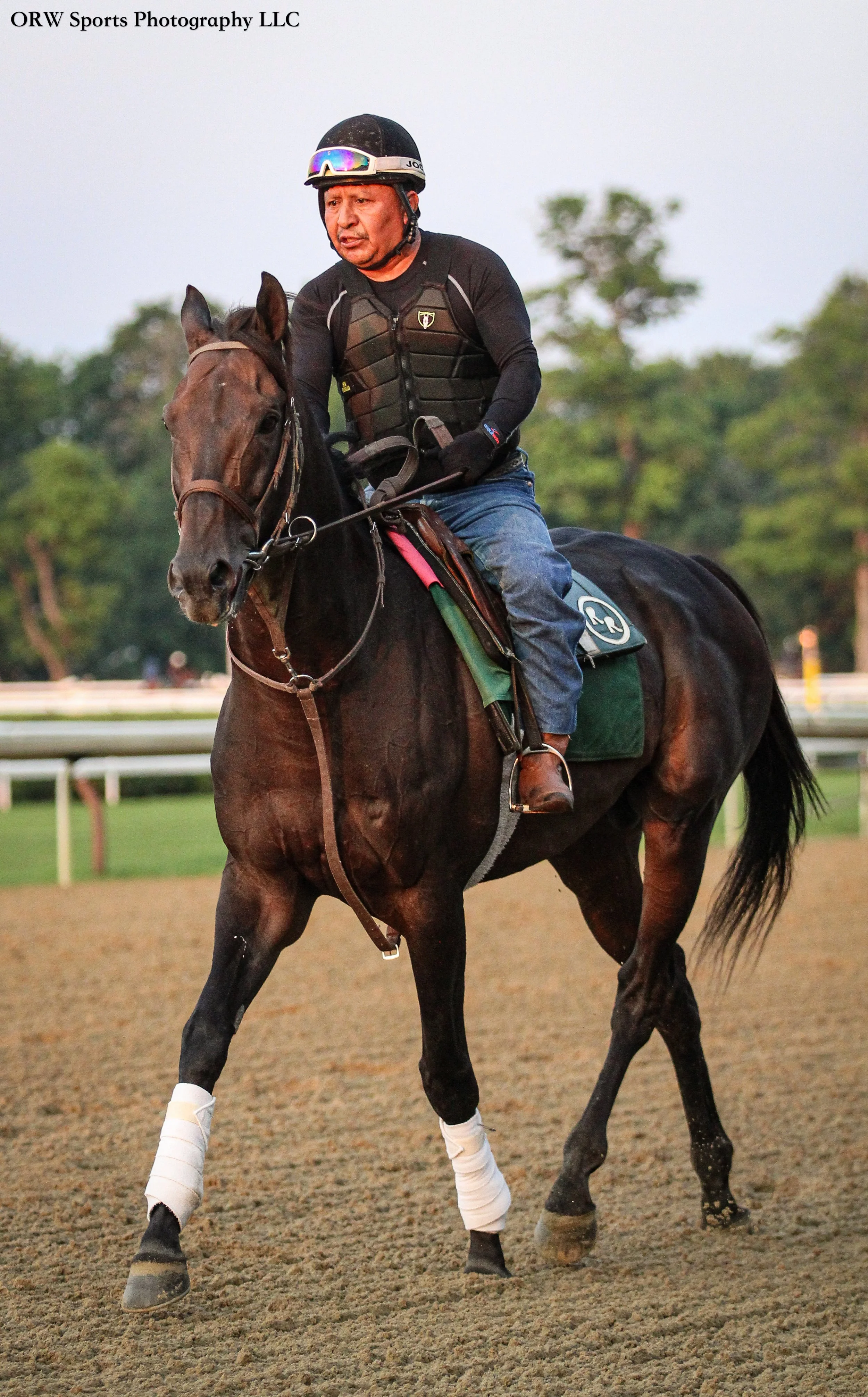 Robert Ribaudo Trainee 