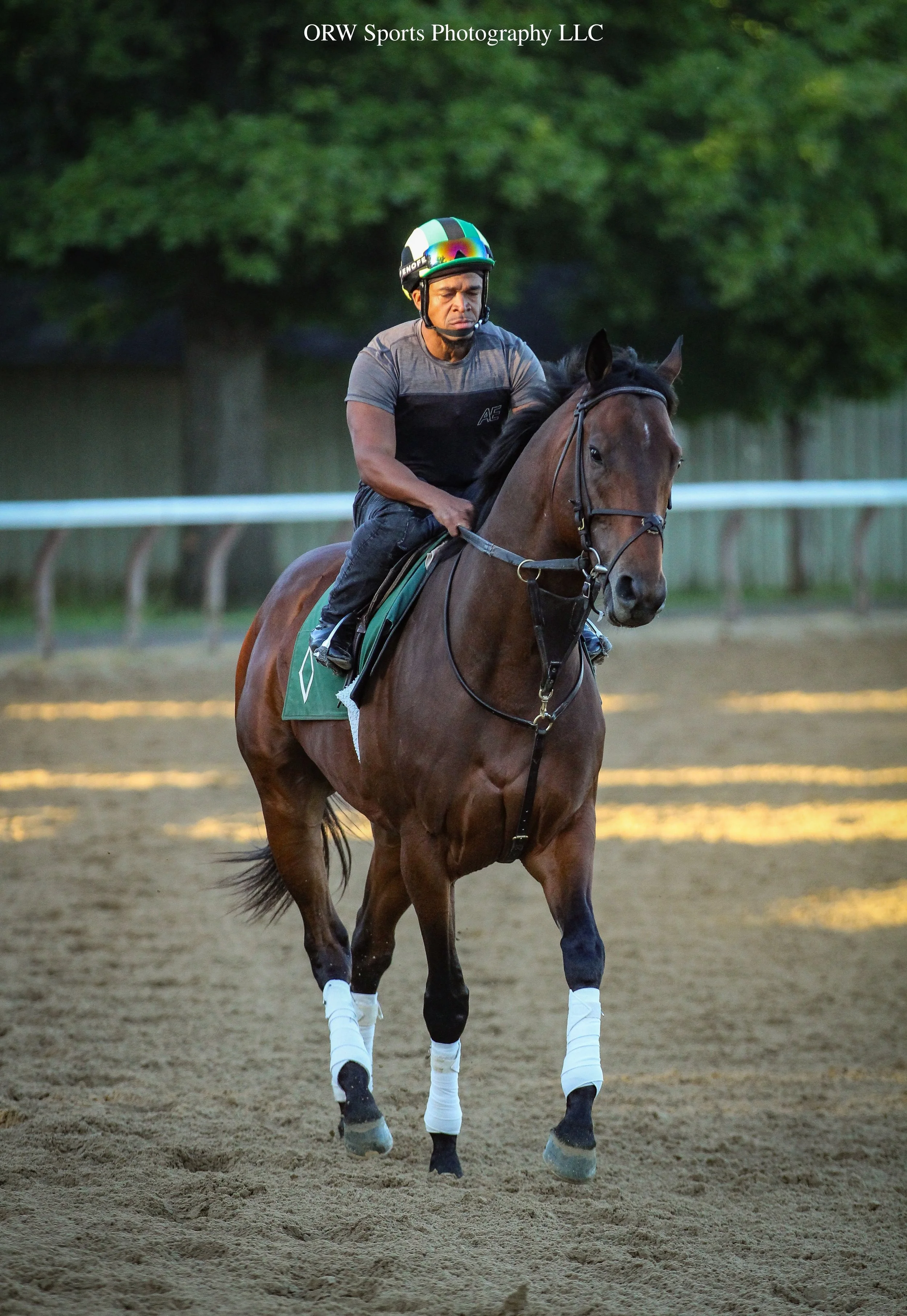 Capitol Hill training ahead of his start in the Grade 3 Poker Stakes