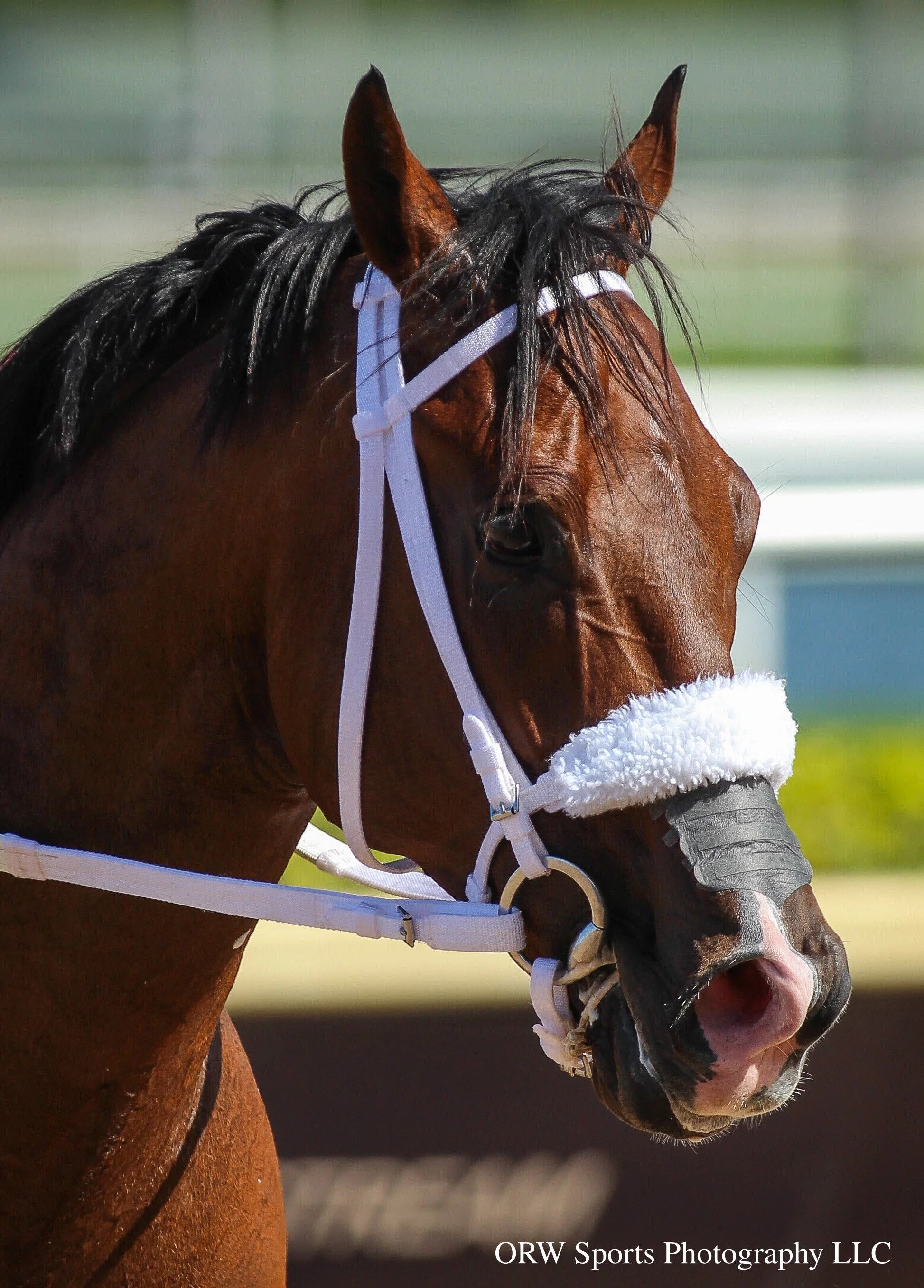 Speed Figures (3).jpg