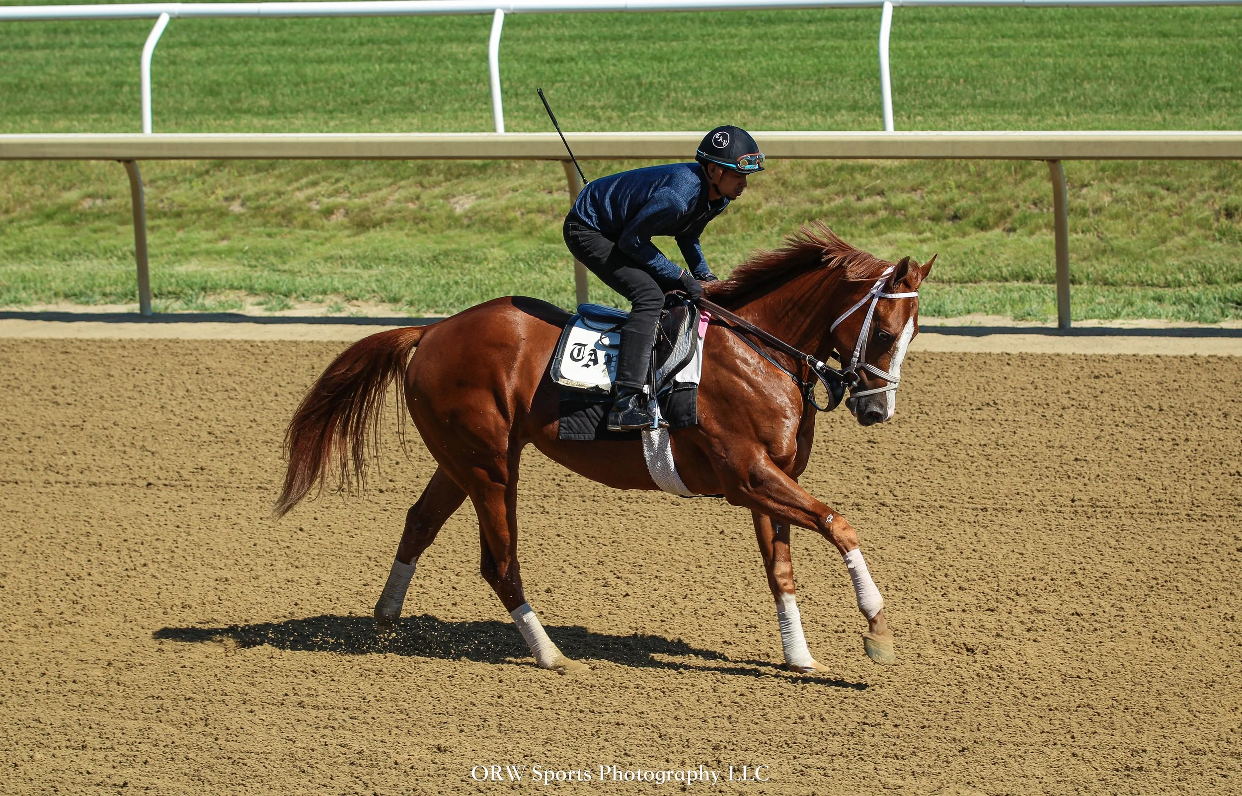 Todd Pletcher Trainee