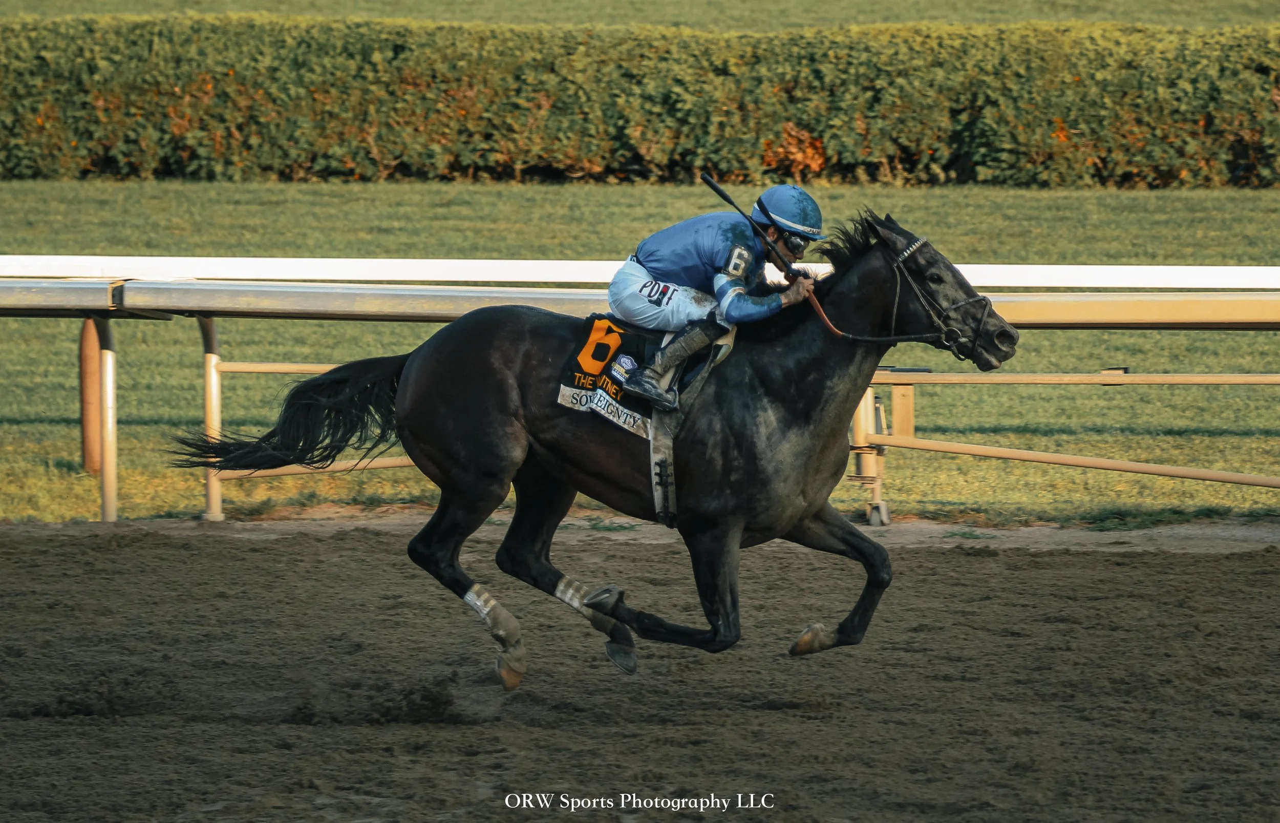 Sovereignty and Junior Alvarado (4) .jpg