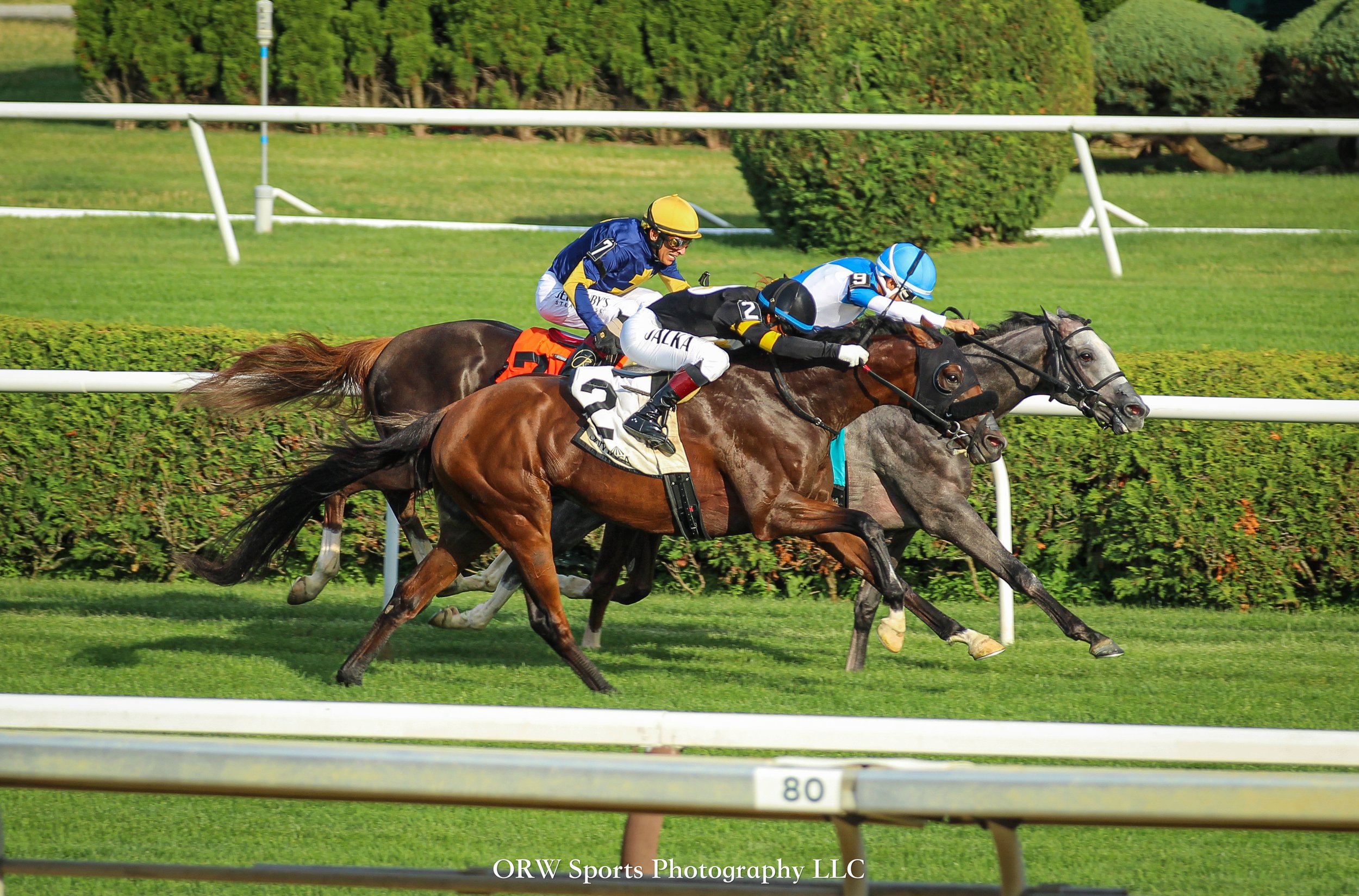 Heeere's Johnny closes in on Blinging It Back to win the Saranac Stakes 