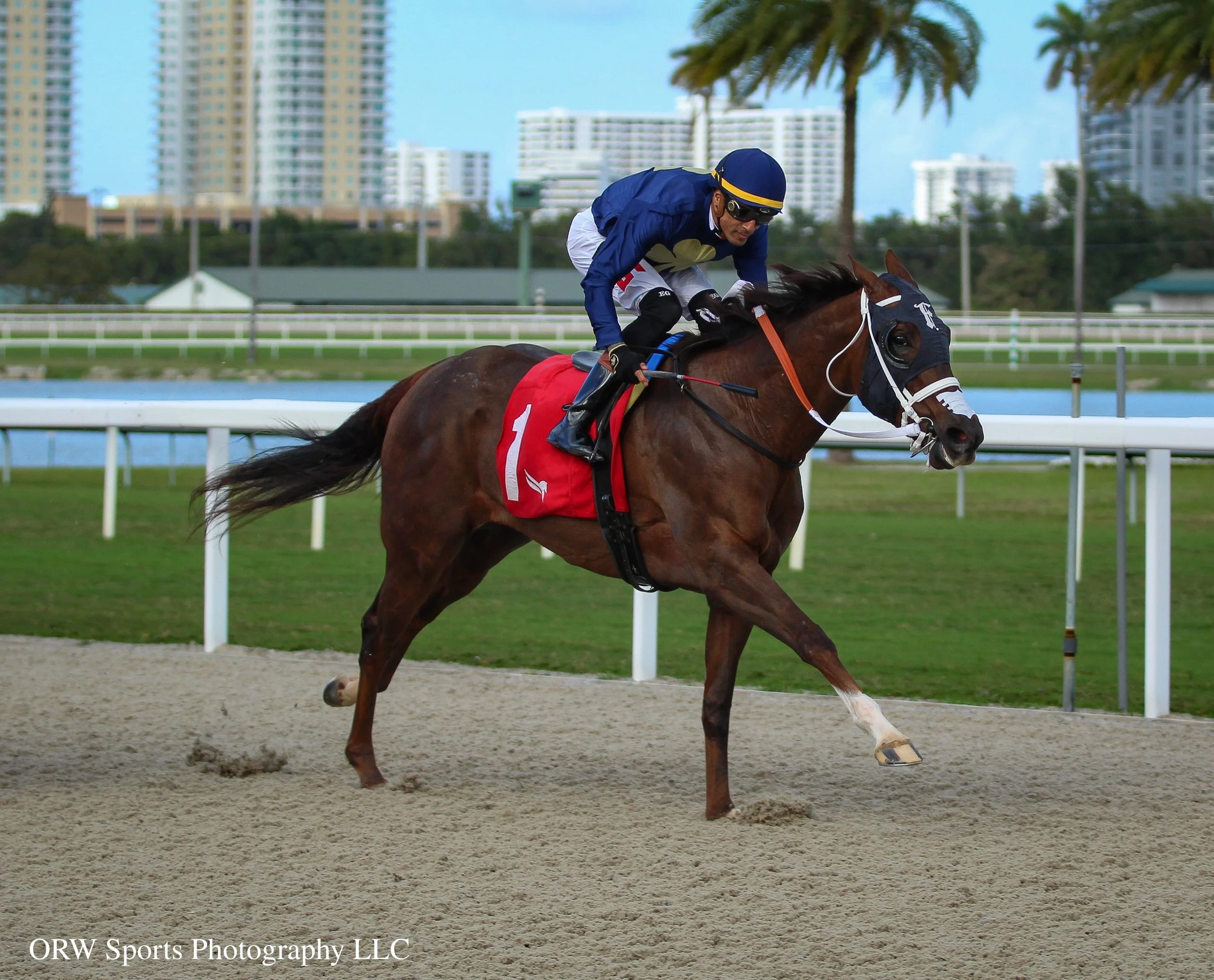 Breezey Bella and Edwin Gonzalez 