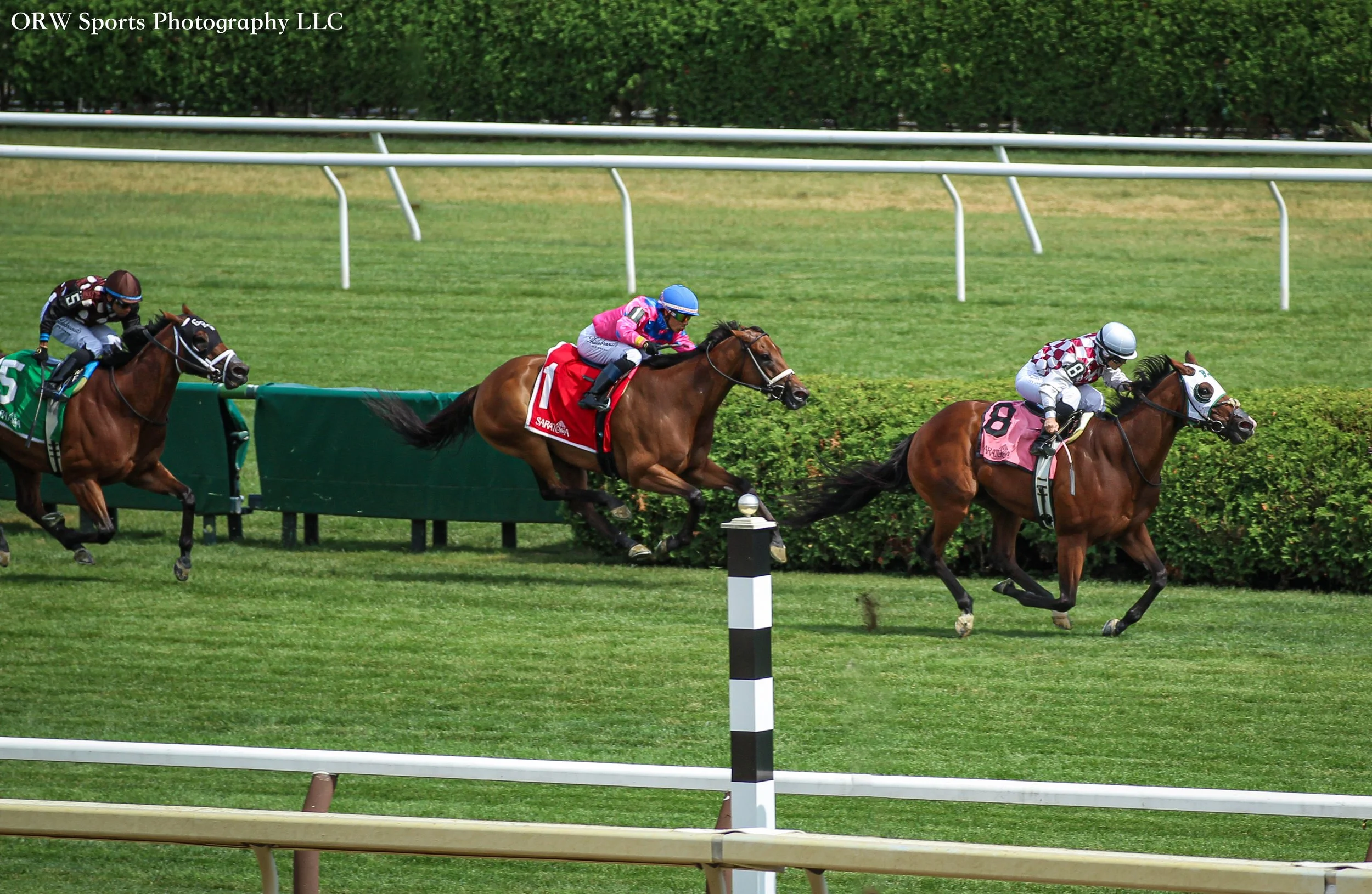 Courtly Banker from Boston's Phinest and Twisted Filligree 