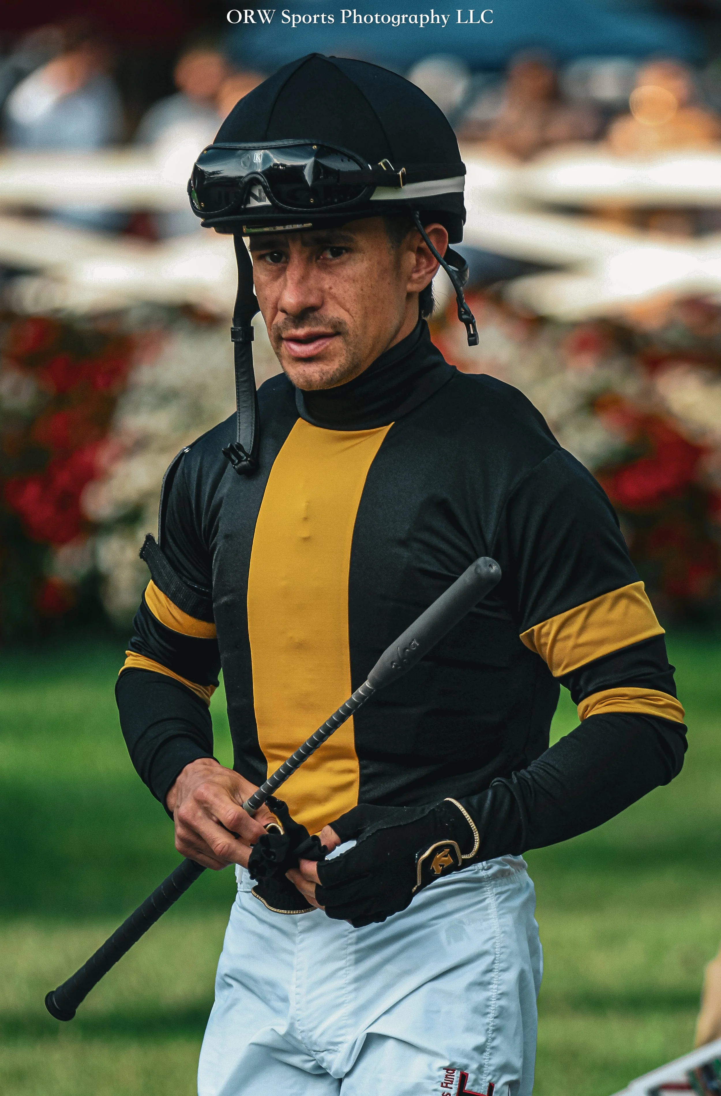 Junior Alvarado {Wachtel Stable} 