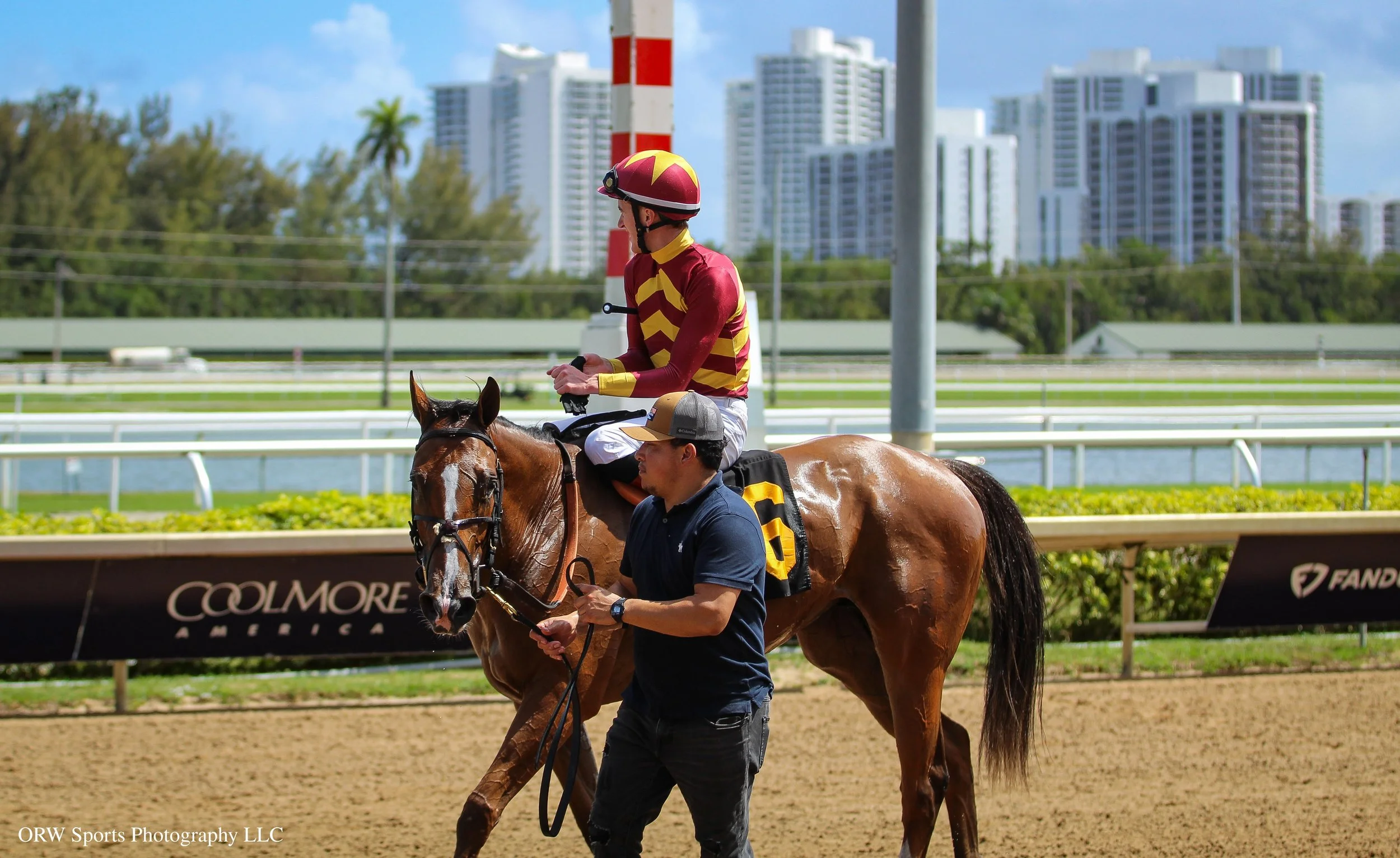 Trust Account and David Egan (3).jpg