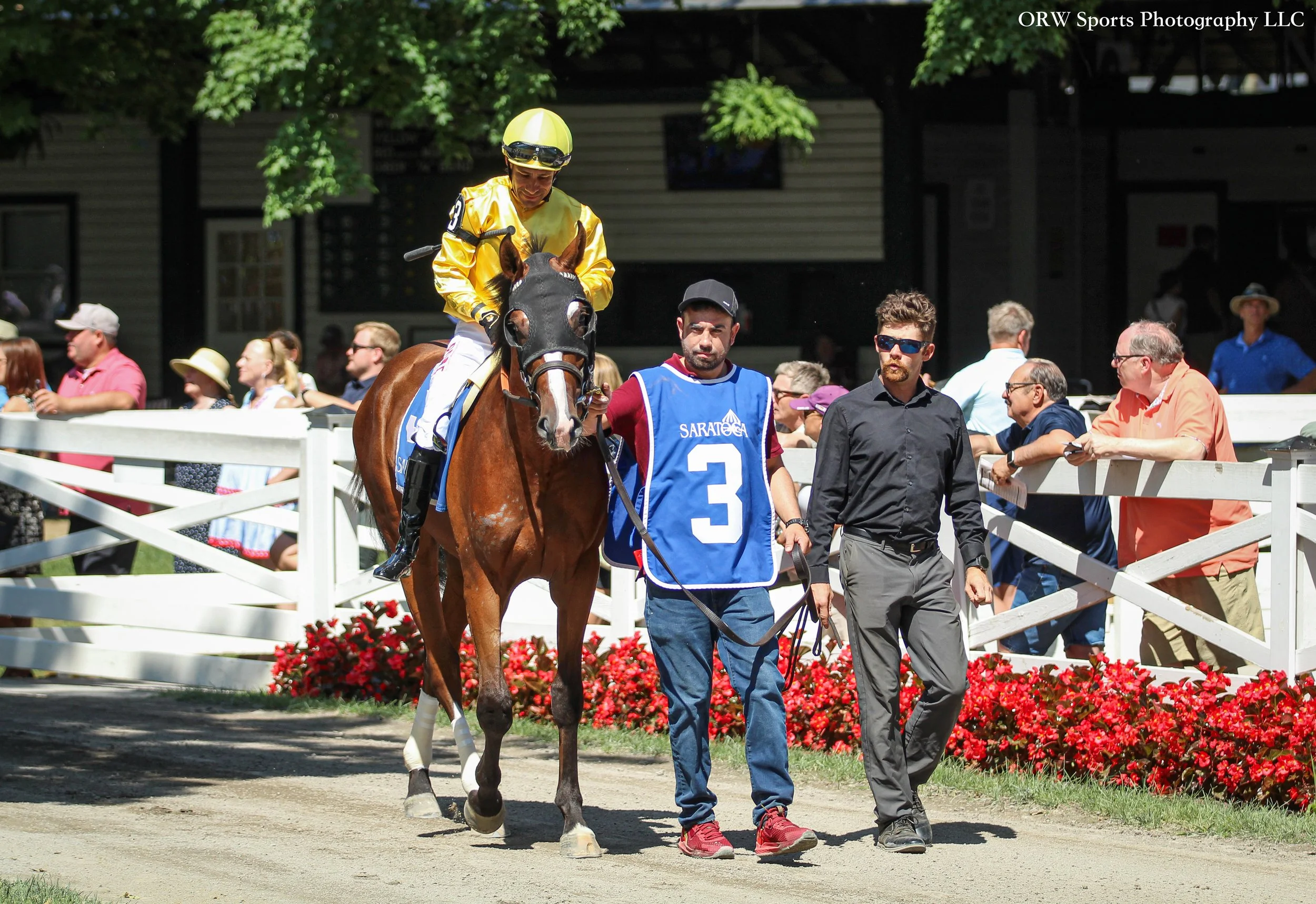 Suspend and Junior Alvarado