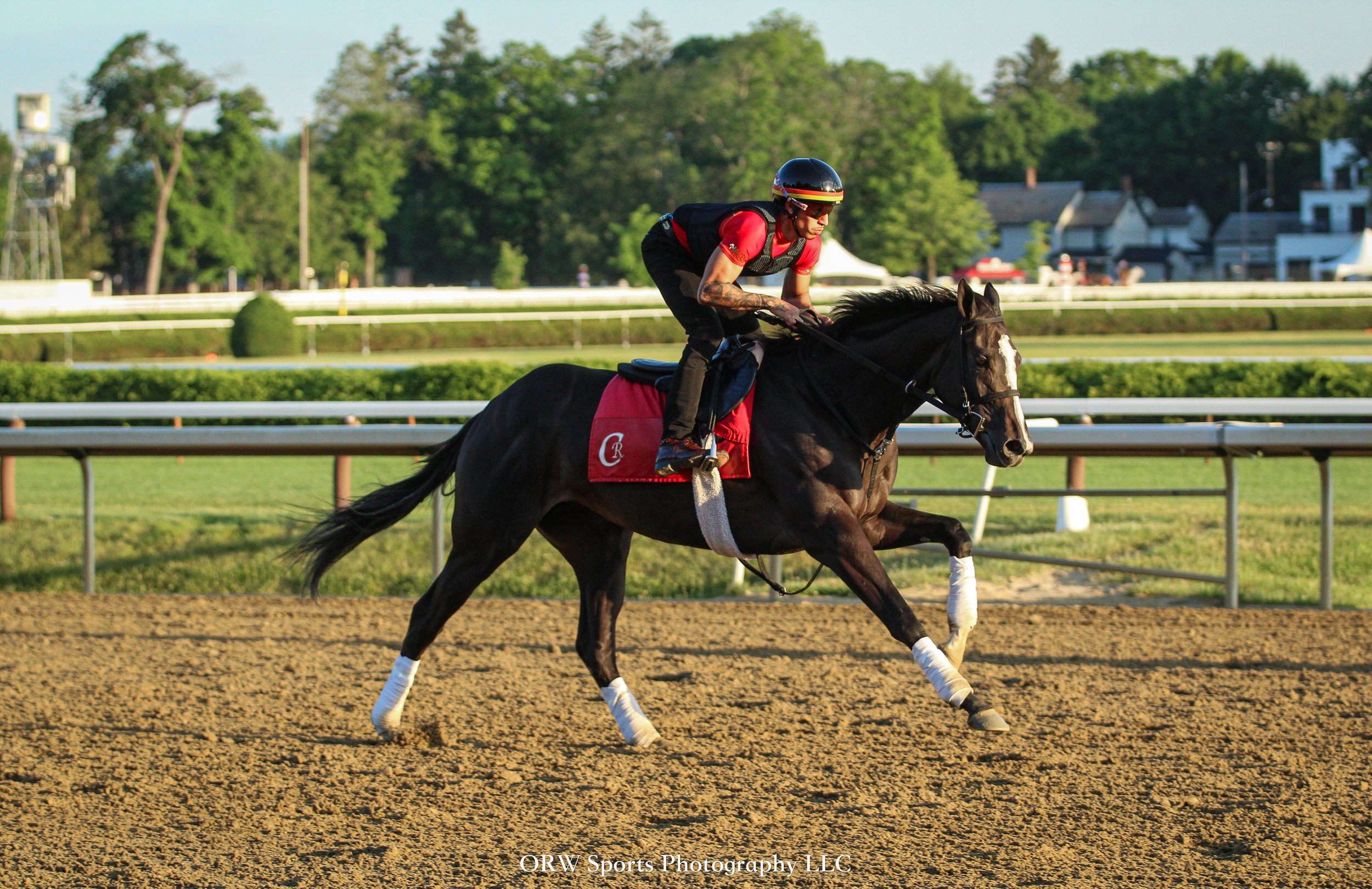Grade 1 Acorn Stakes winner, Counting Stars