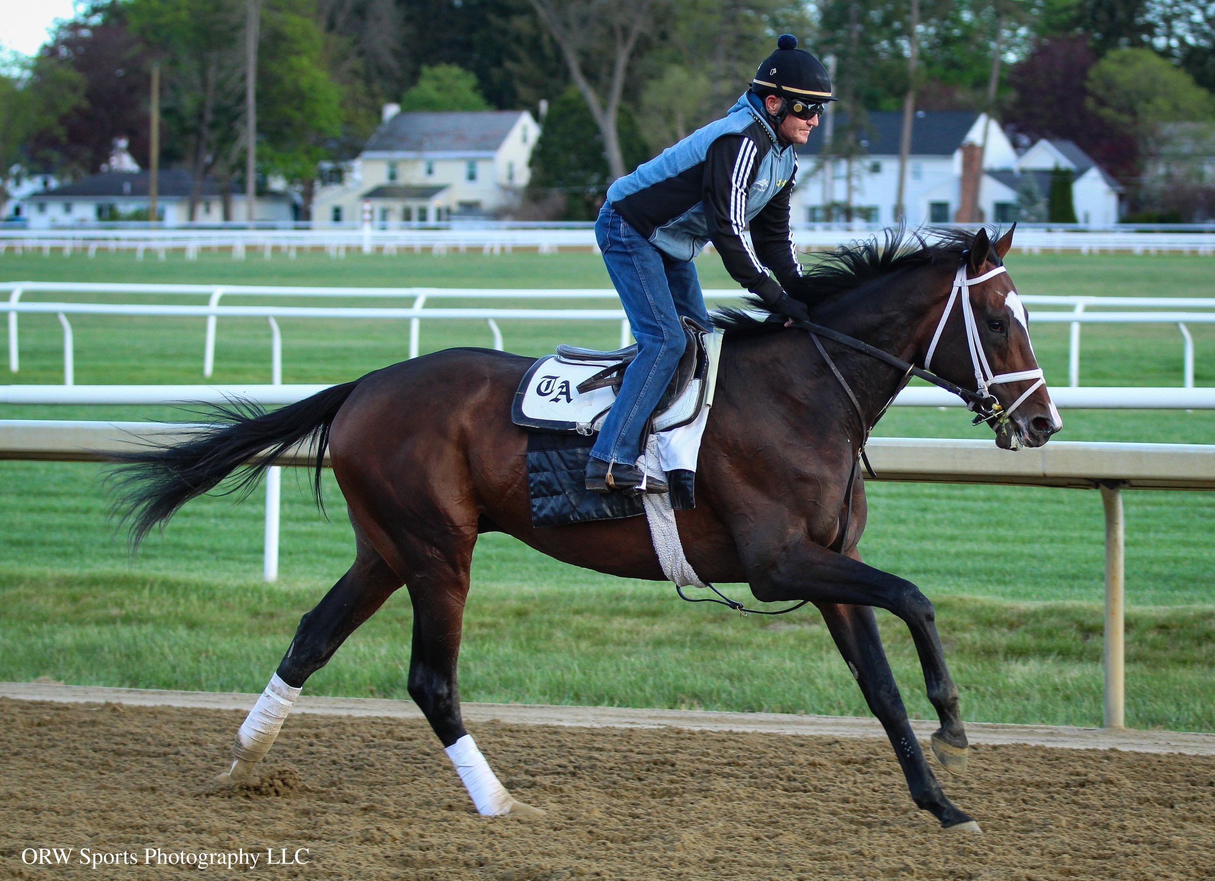 Grand Sonata - Todd Pletcher