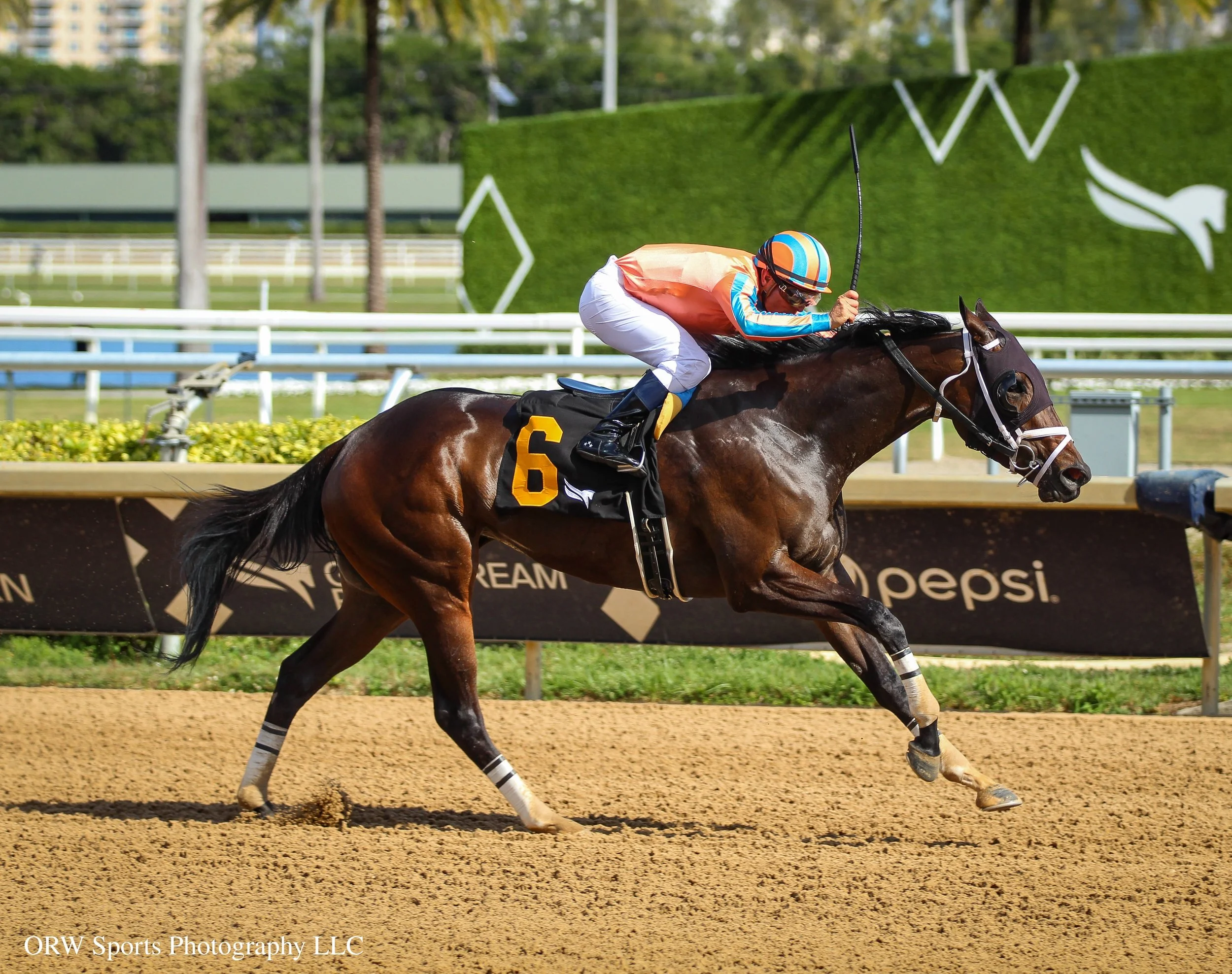 Majestuosa and Jorge Ruiz 