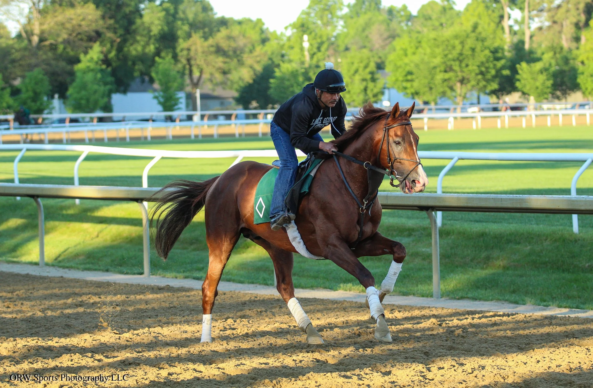 Pass the Hat training ahead of his next start in the Grade 3 Poker Stakes