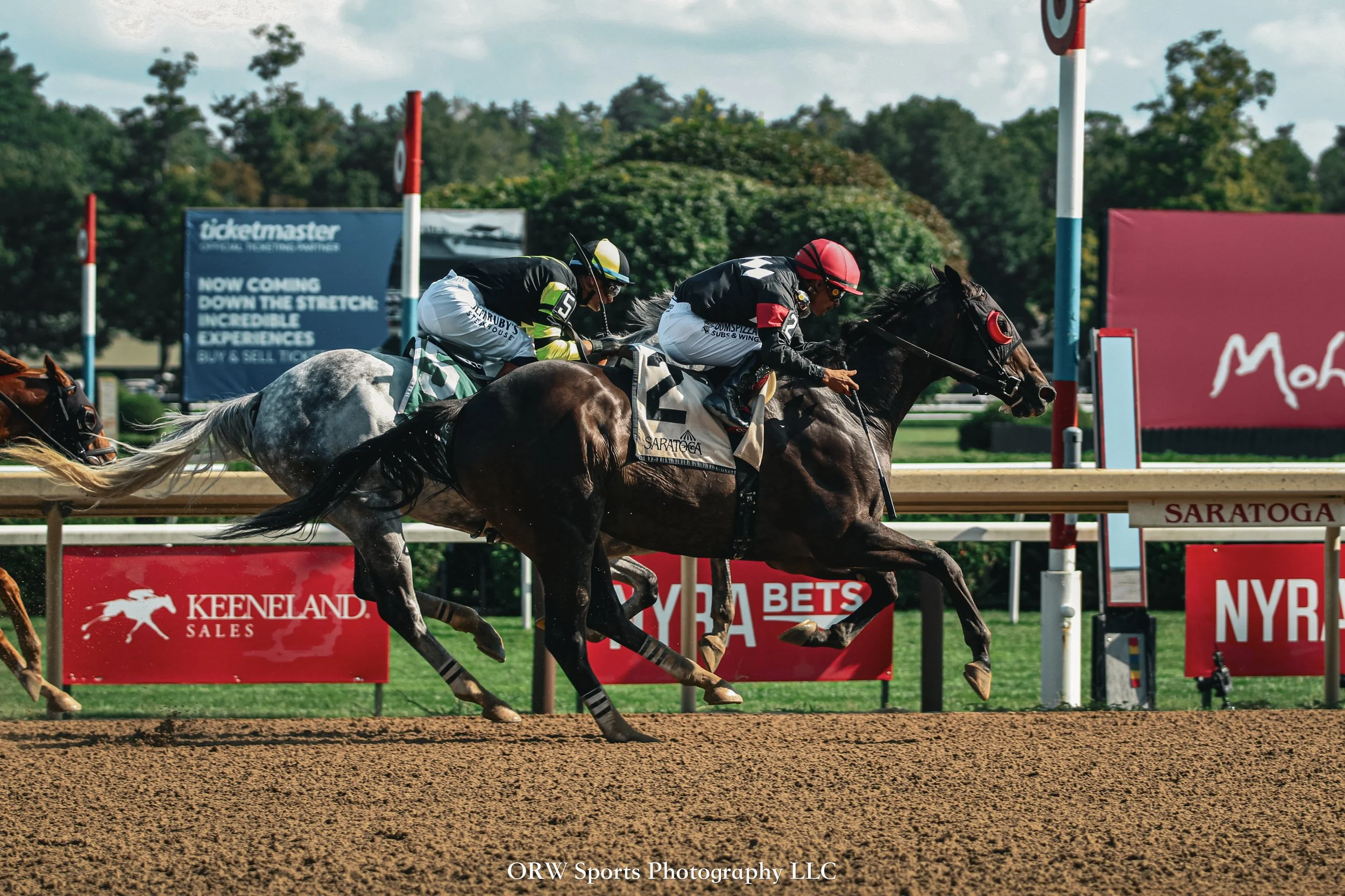 Cat On Time and Luis Saez 