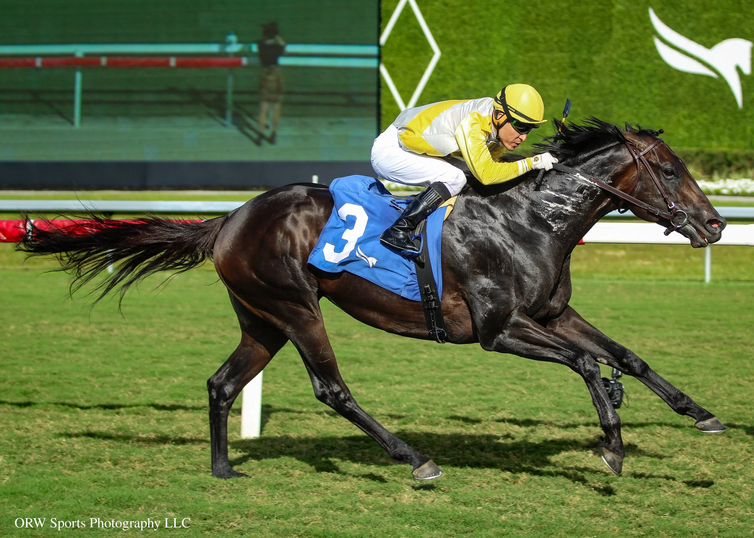 Litigation and Mario Gutierrez (5).jpg