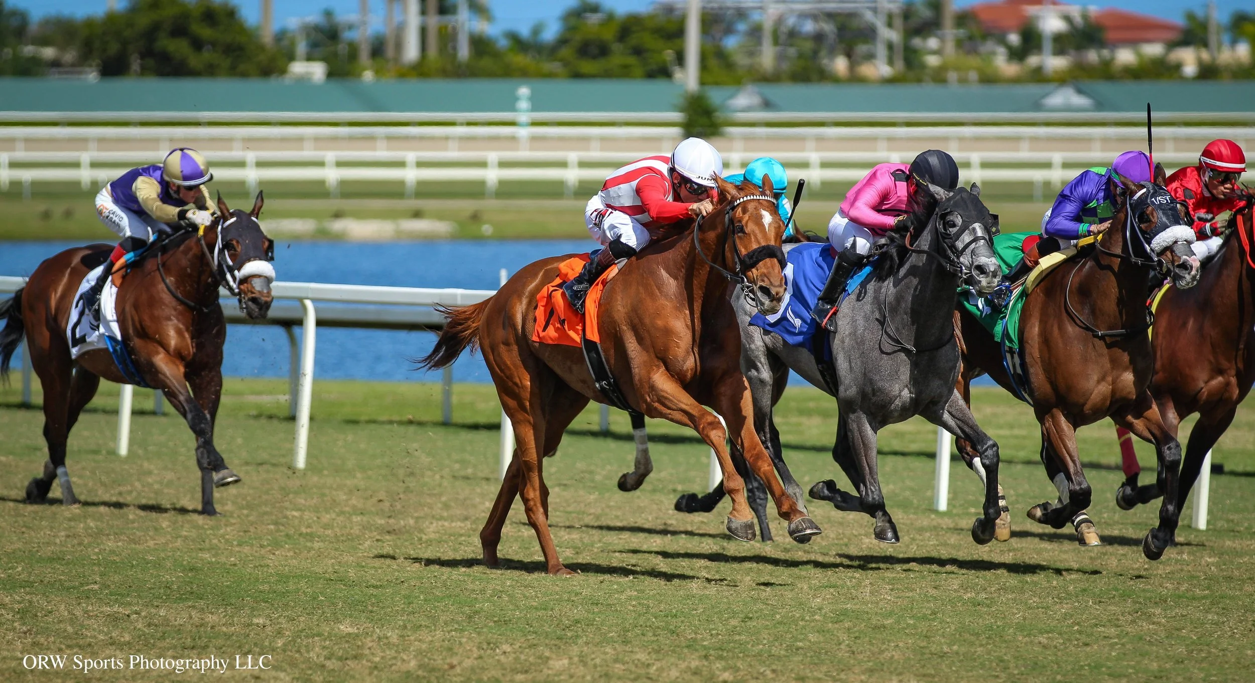 Jim's Hope challenges.jpg