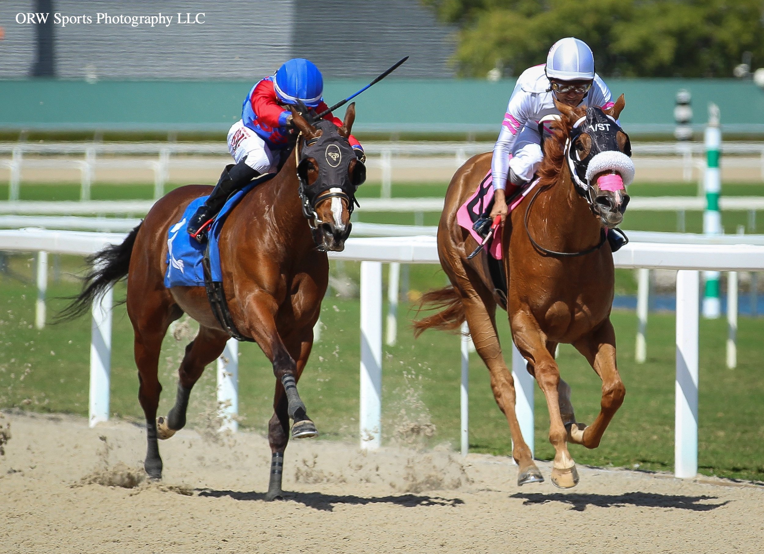 Looks to Kill vs Street Sue 