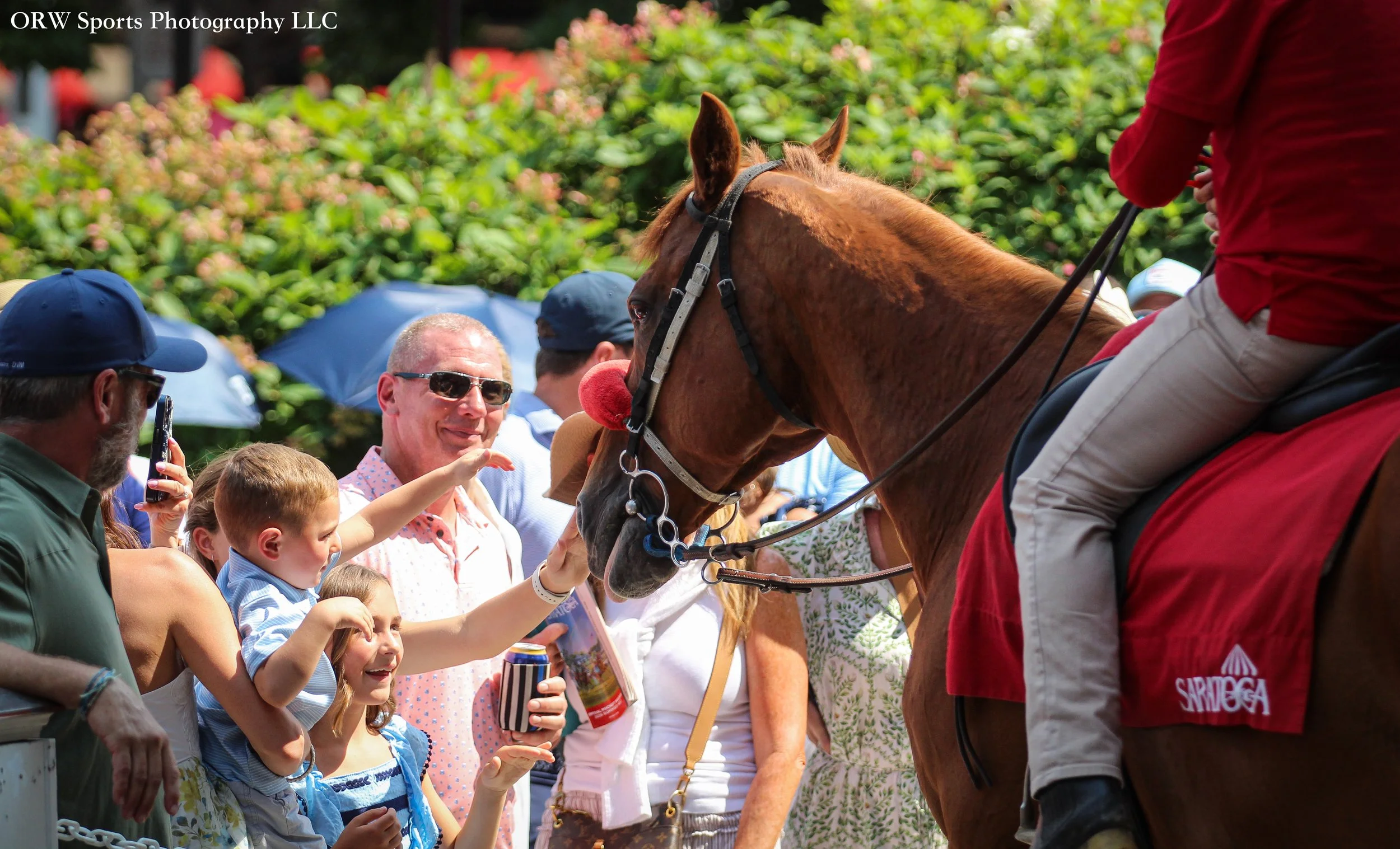 Petting Horse.jpg