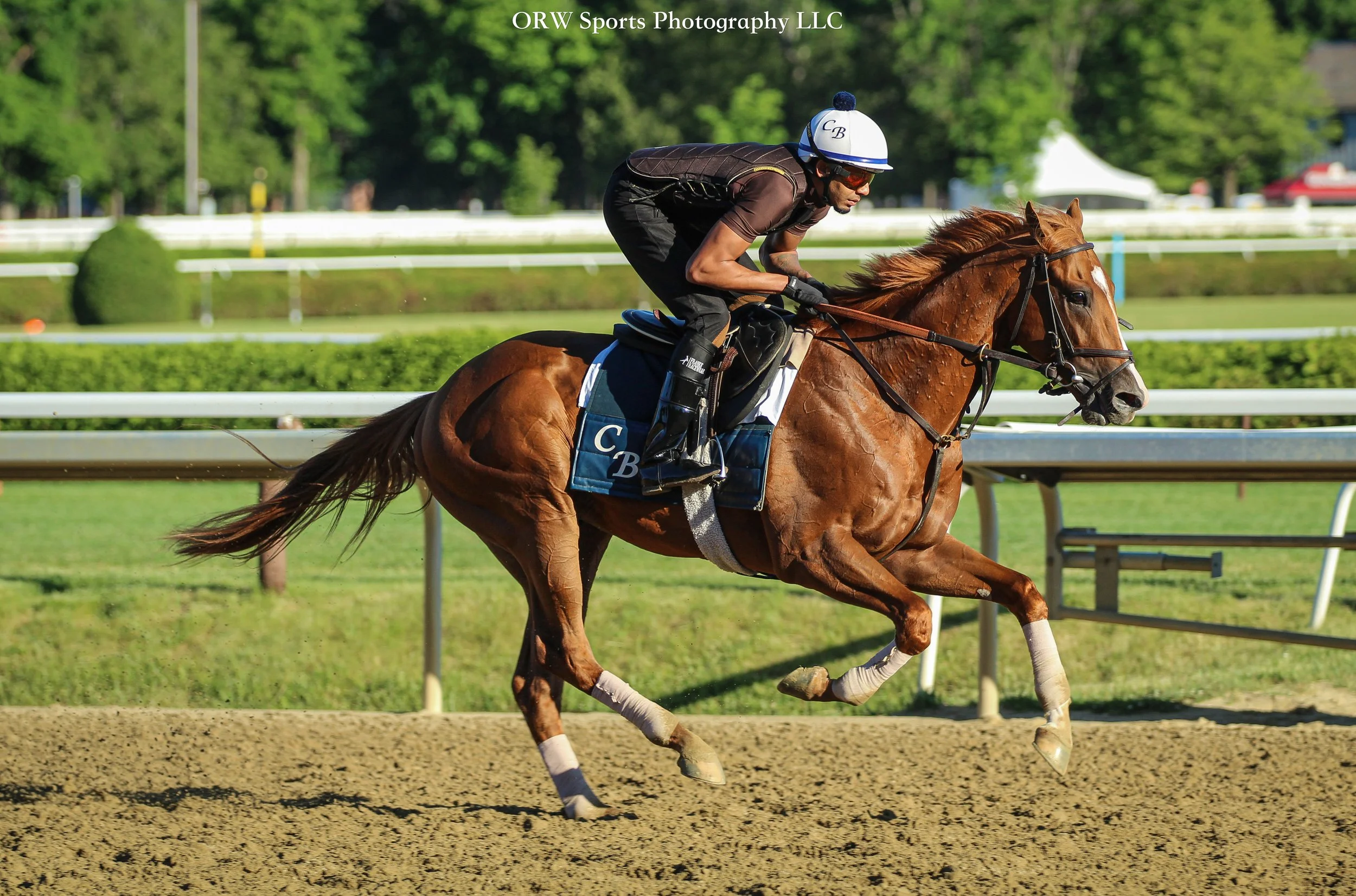 Chad Brown Trainee 