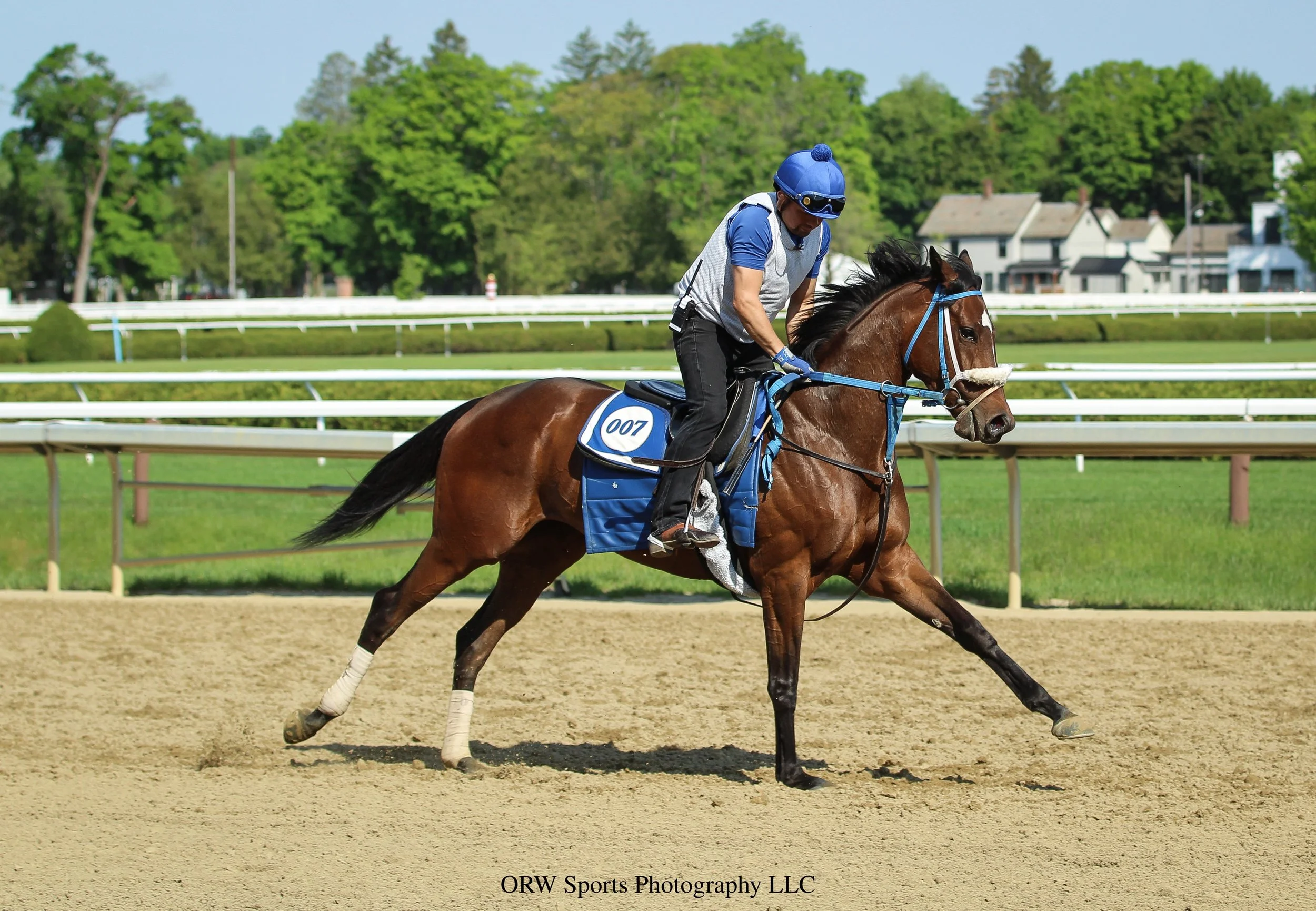 Little Finch. She finished sixth in her first start at Belmont At The Big A.