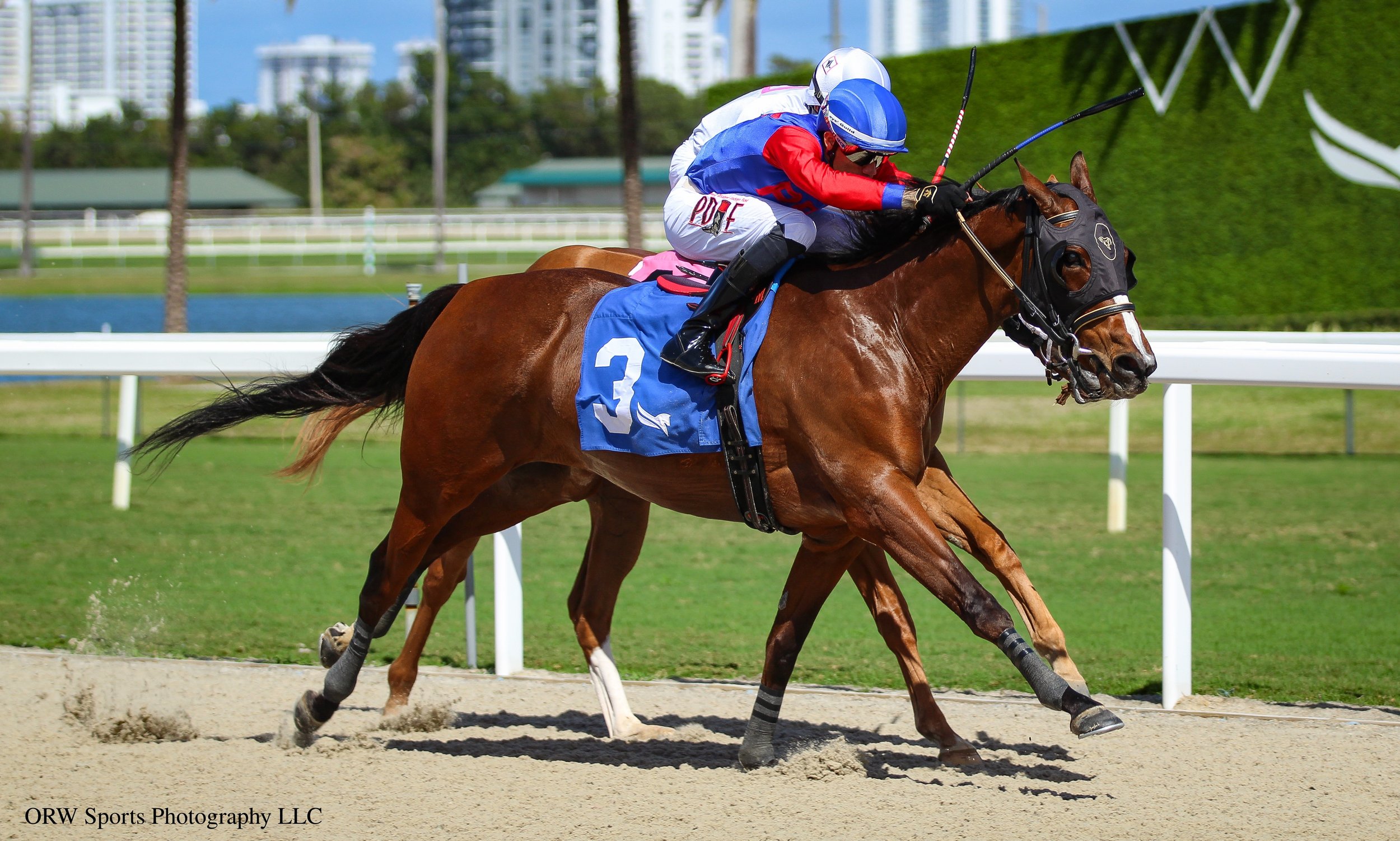 Looks to Kill and Jose Morelos 