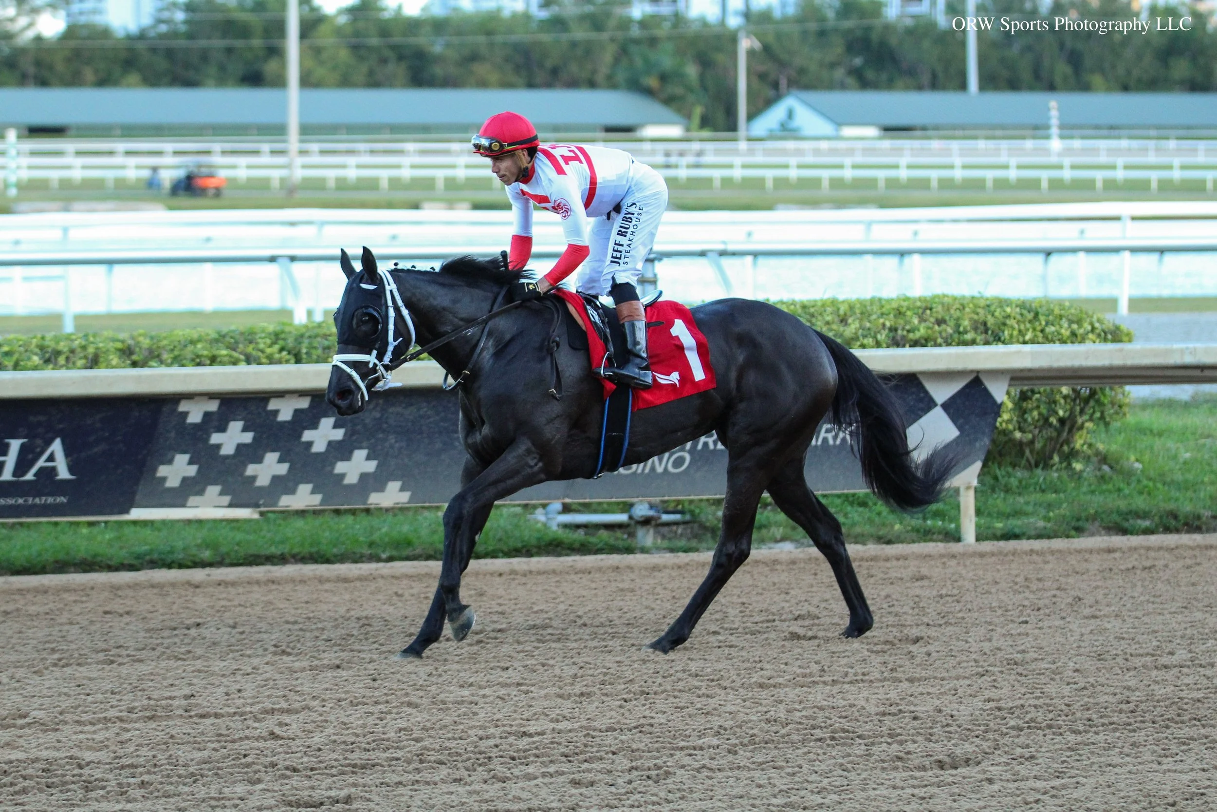 Catalonia and Irad Ortiz Jr 