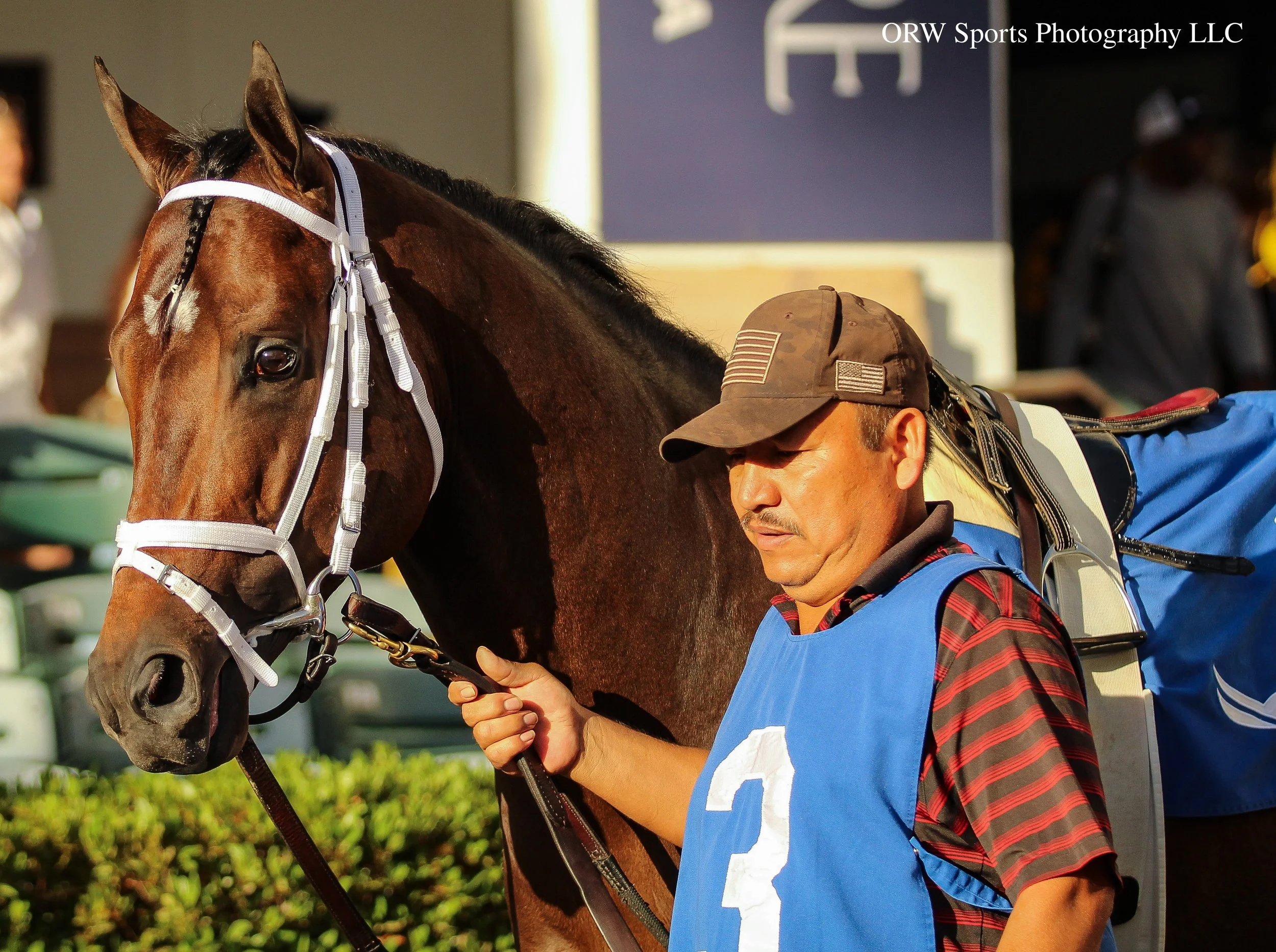 Mentee. He is a full brother to classic champion Fierceness 