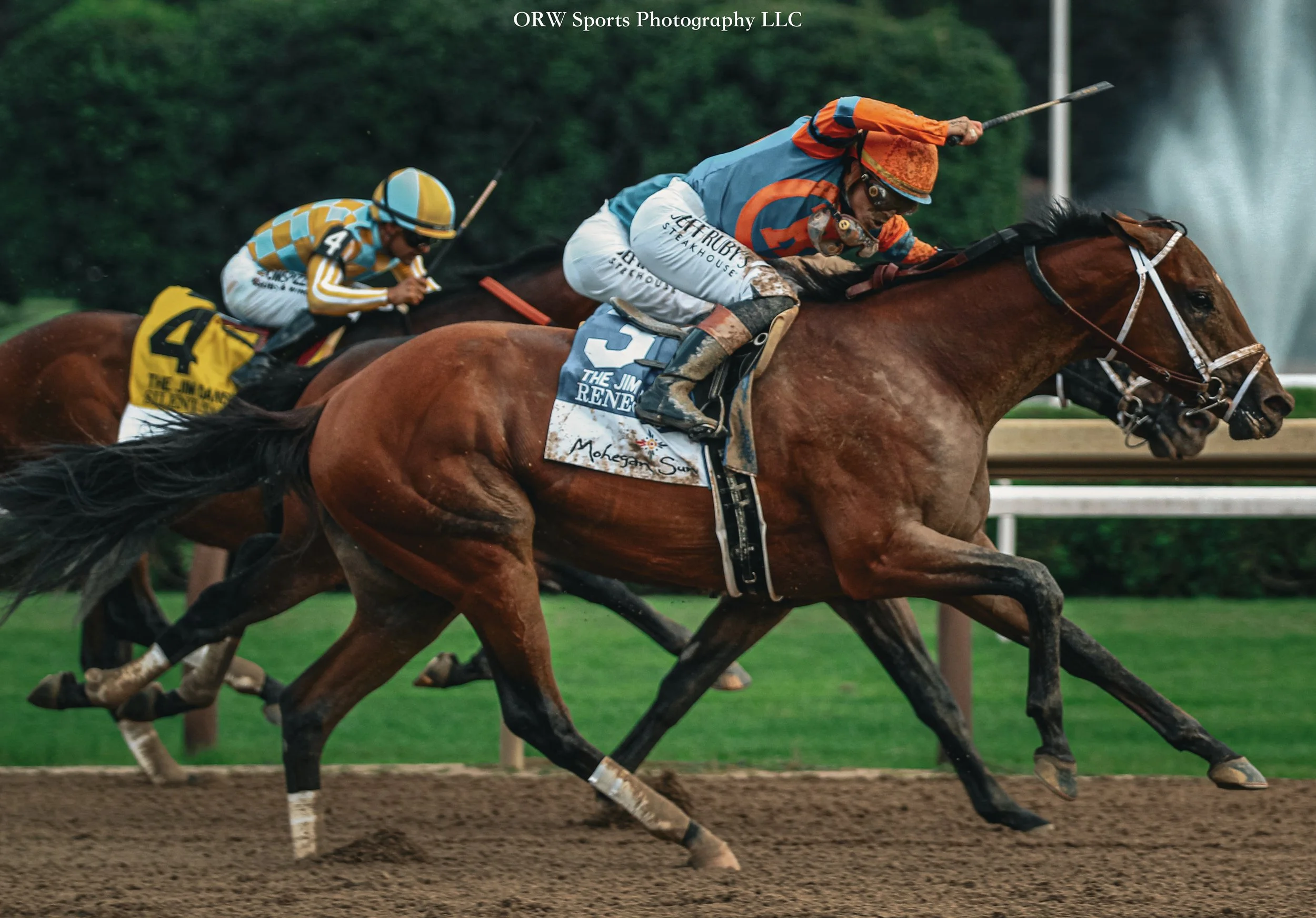 Showcasing his classic late-charge running style, Renegade takes the Grade 2 Jim Dandy Stakes with Irad Ortiz Jr aboard. The Into Mischief colt displayed his talent yet again and shut down that obnoxious patron. 

(A little P.S.A: always display deco