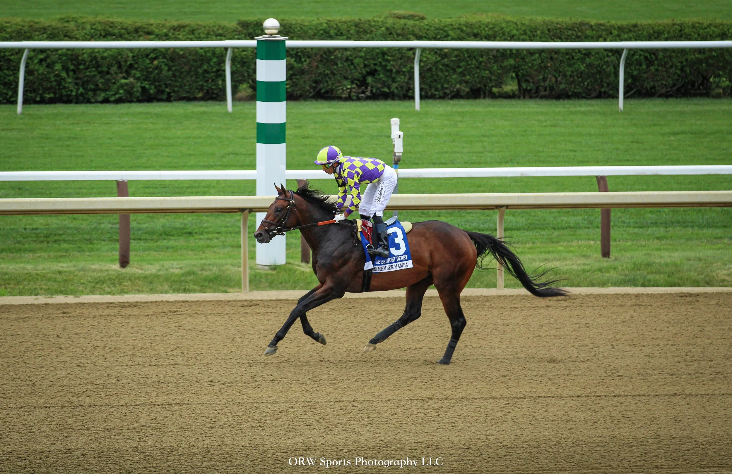Remember Mamba and Jose Ortiz 