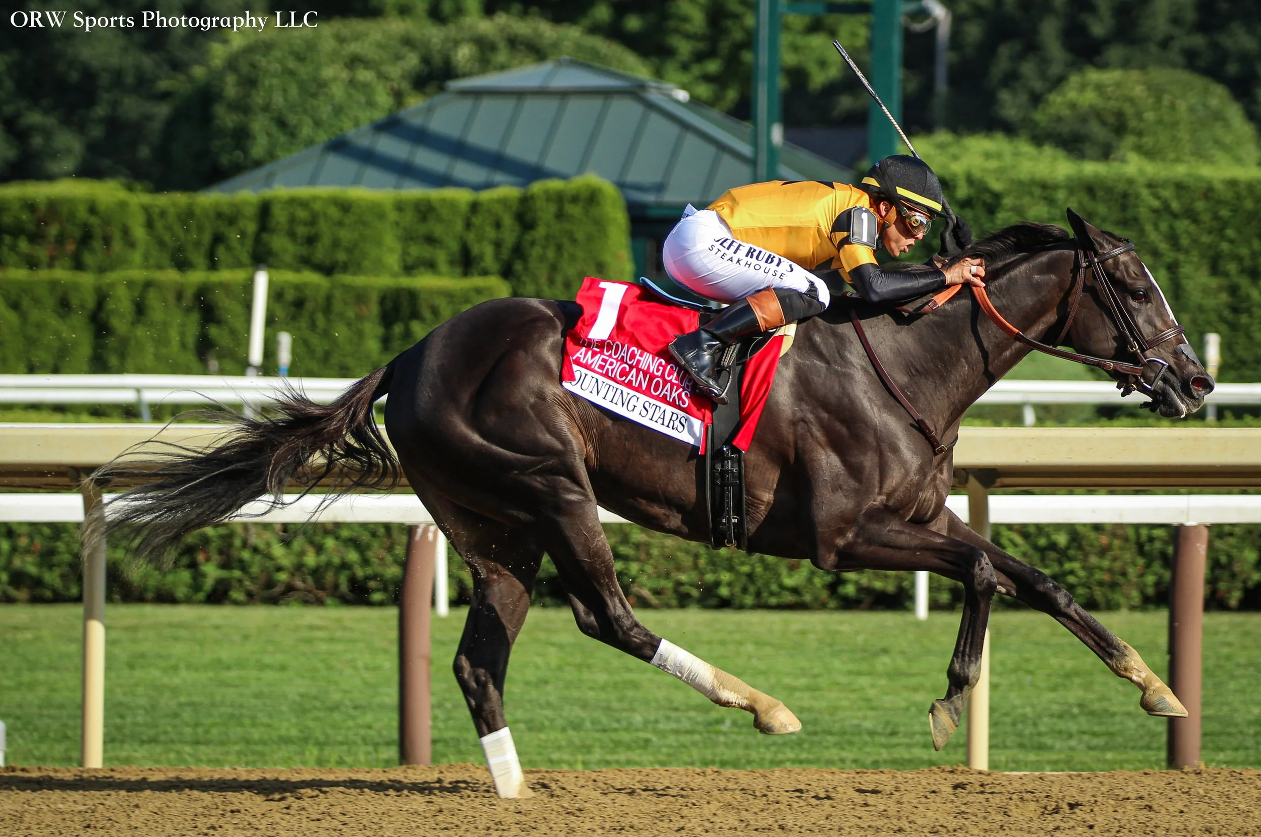 Counting Stars and Irad Ortiz Jr (3) .jpg