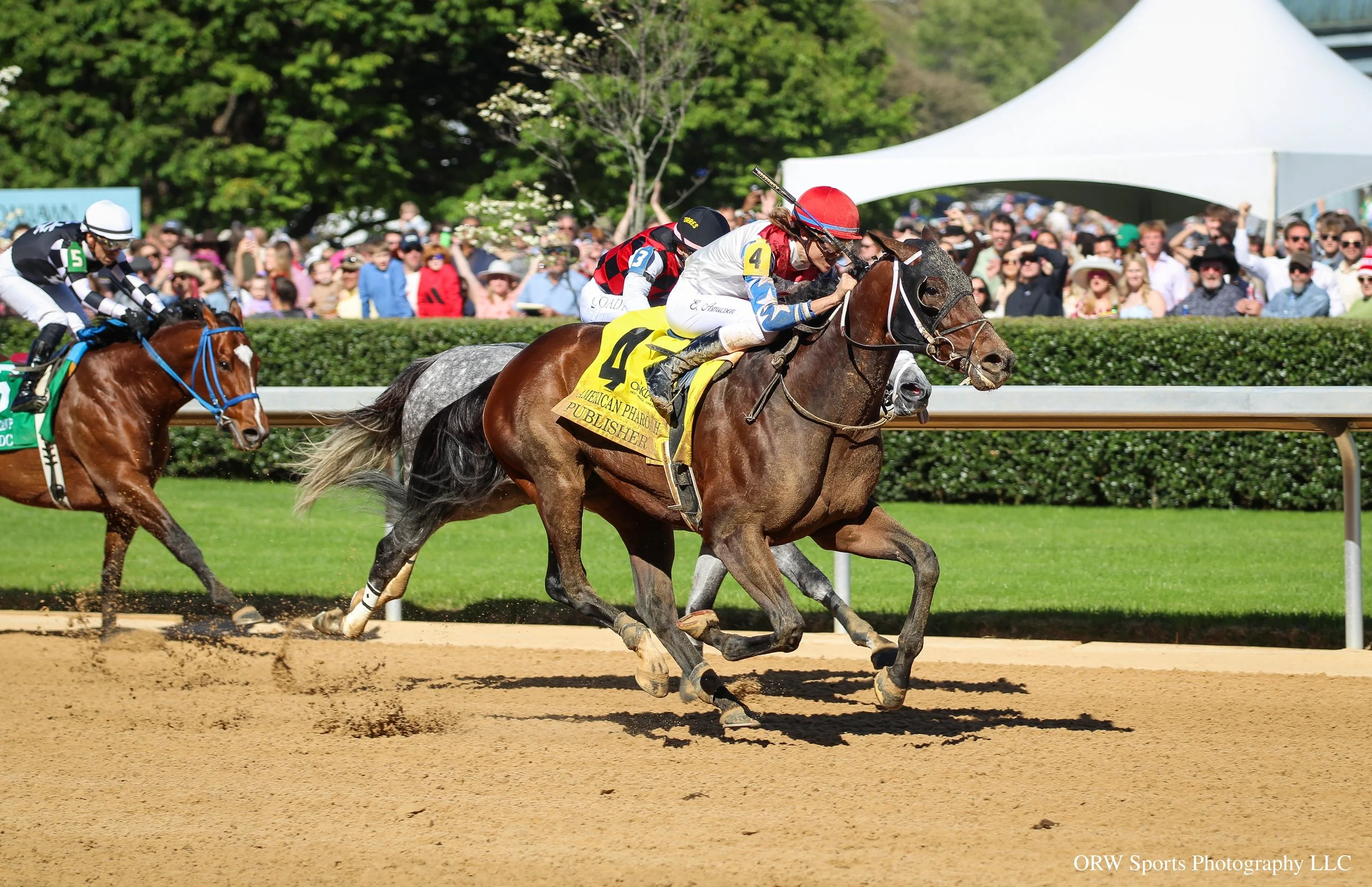 Publisher and Erik Asmussen win the American Pharoah Stakes. The bay colt is in fact a son of American Pharoah, who won the Triple Crown in 2015. 