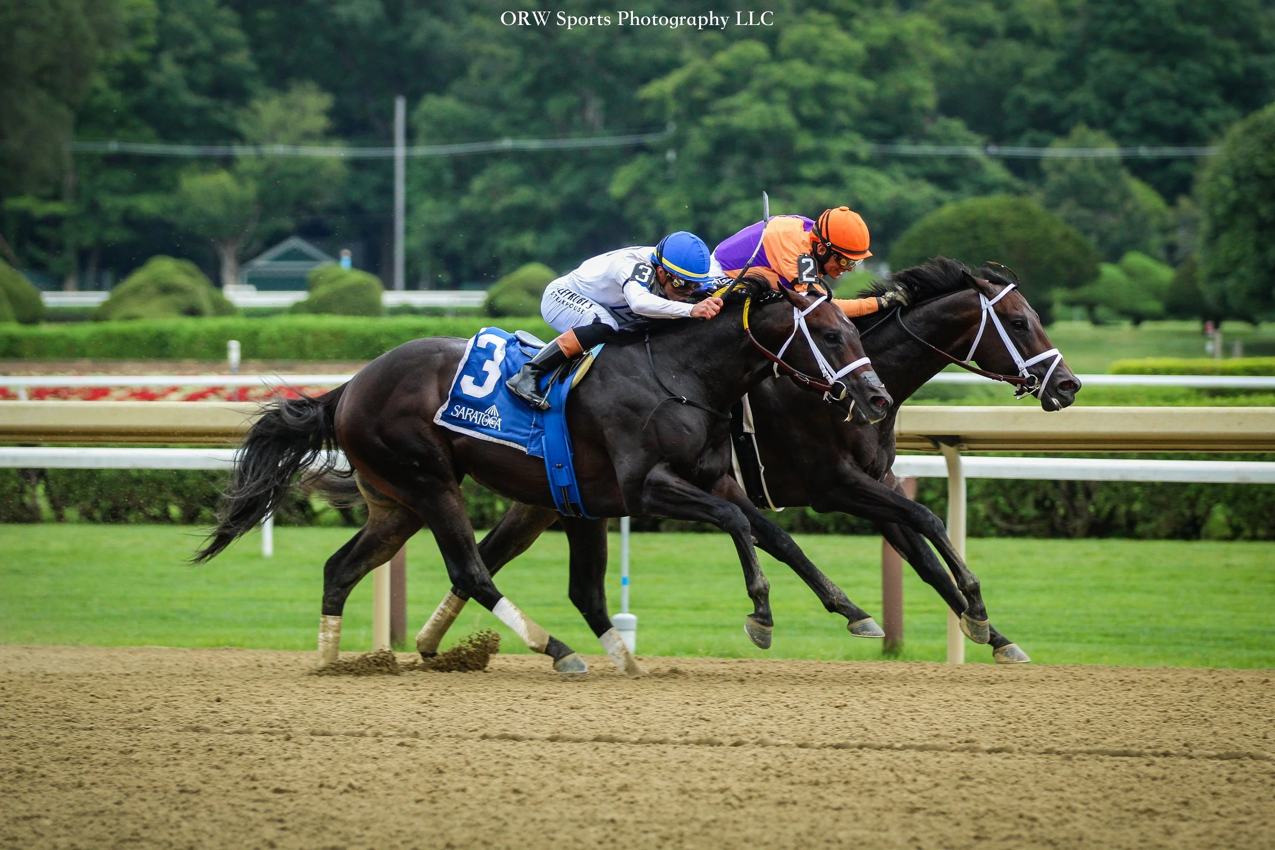 Local Knowledge vs Solitude Dude in the Grade 2 Amsterdam Stakes 