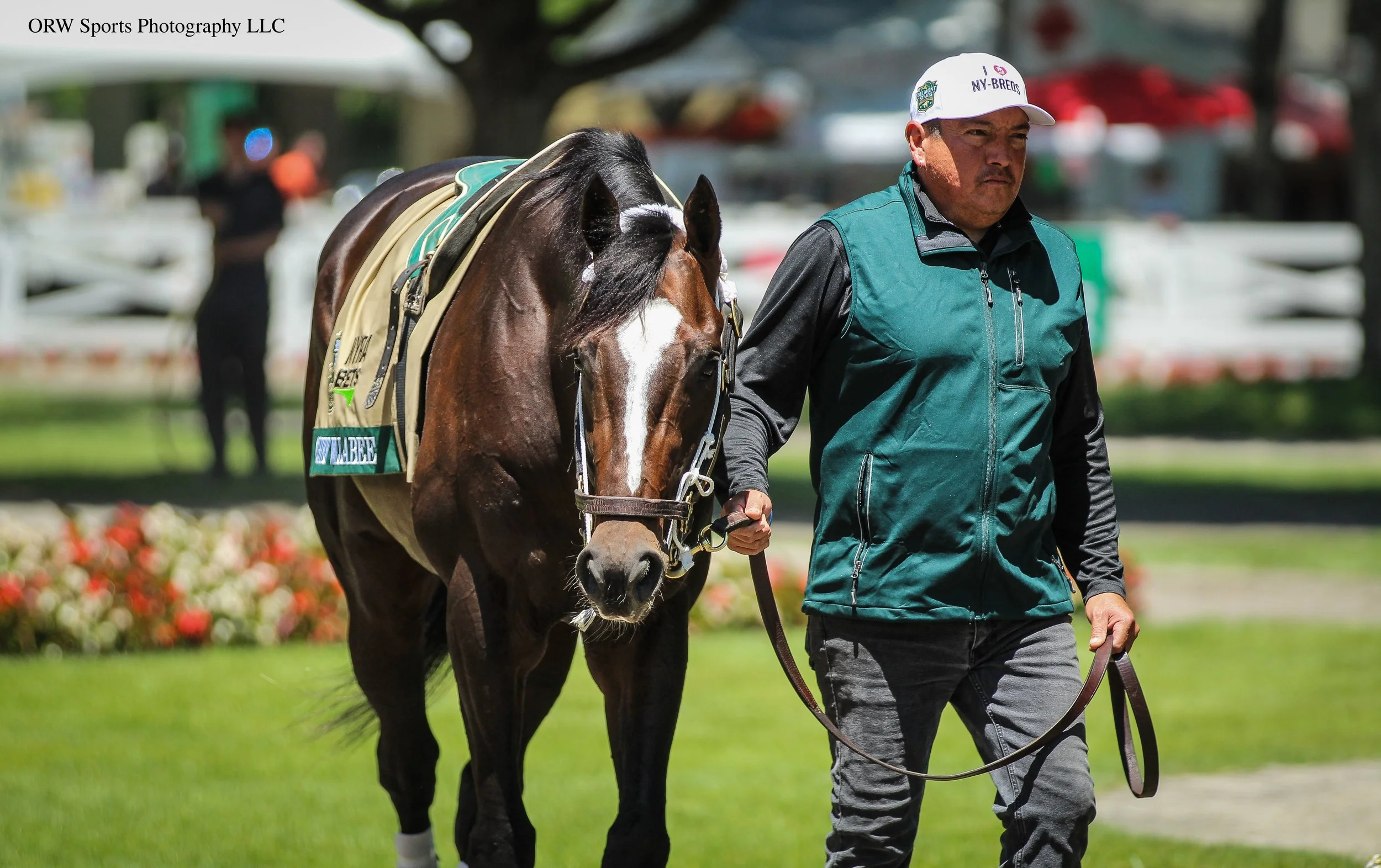 Chief Wallabee Paddock Schooling (2).jpg