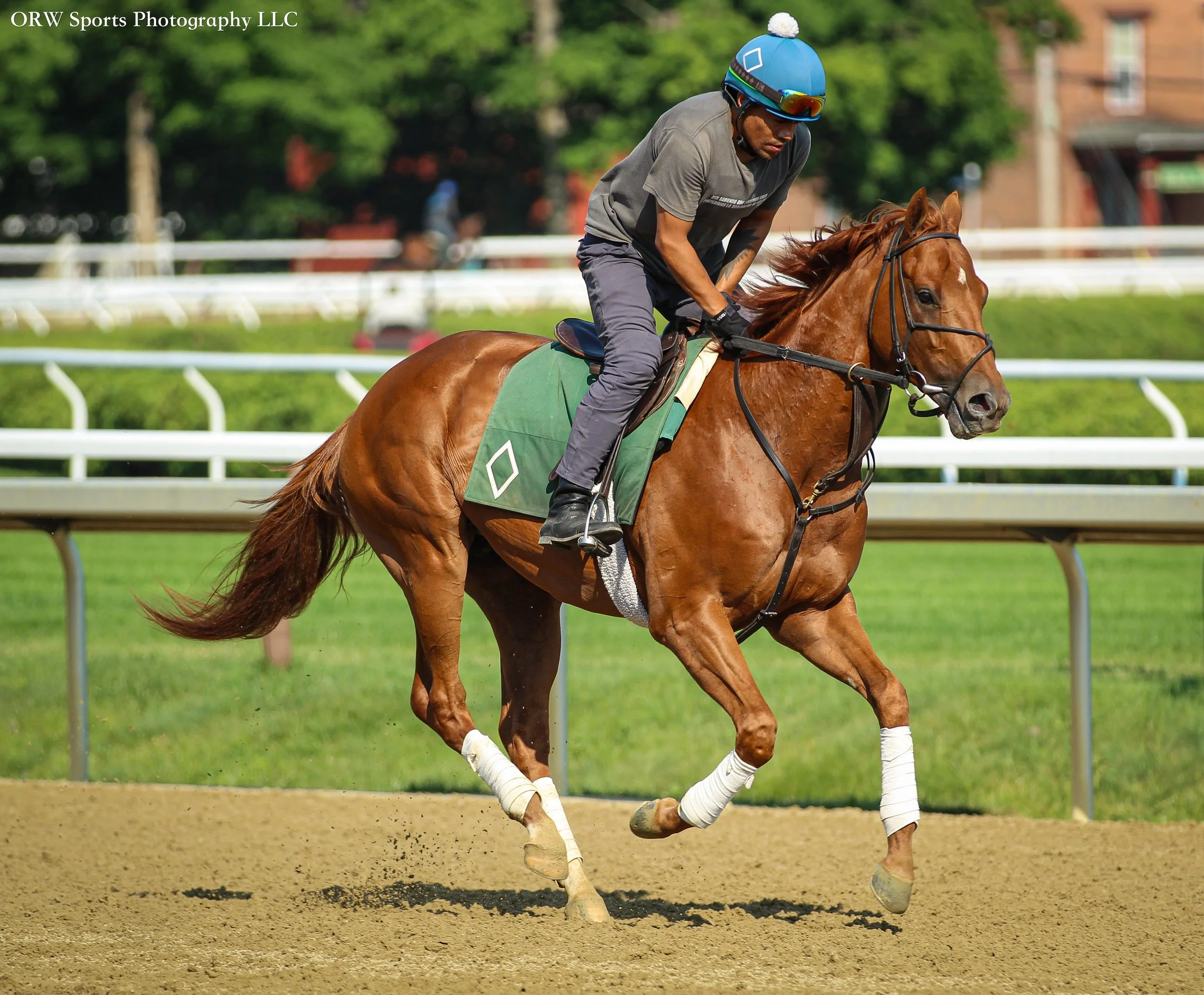 Bill Mott Trainee 