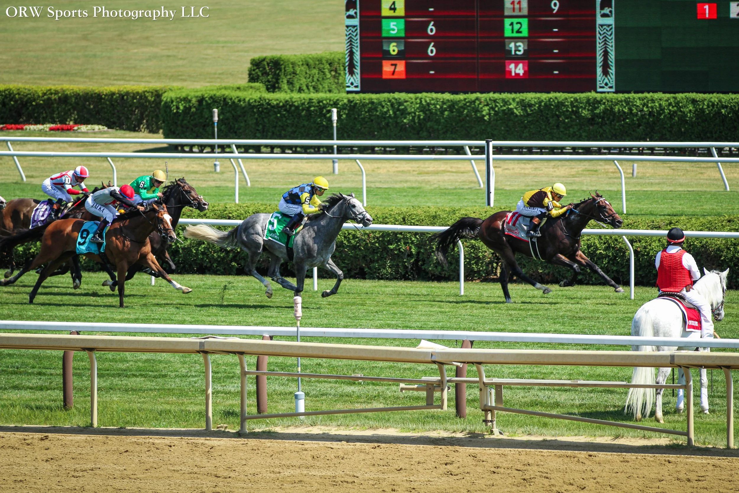 Race 5. 