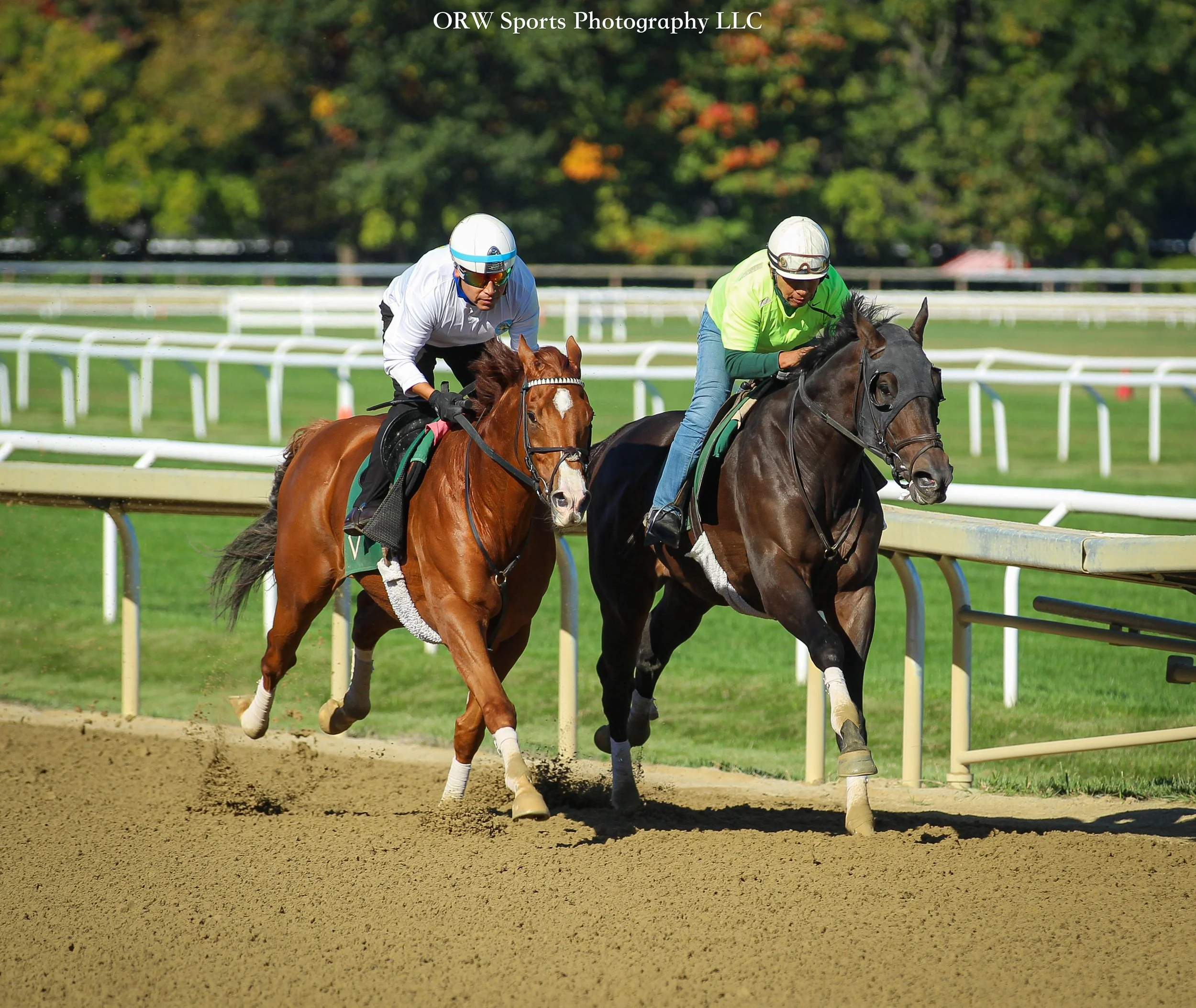 Bold Journey works in company for Bill Mott