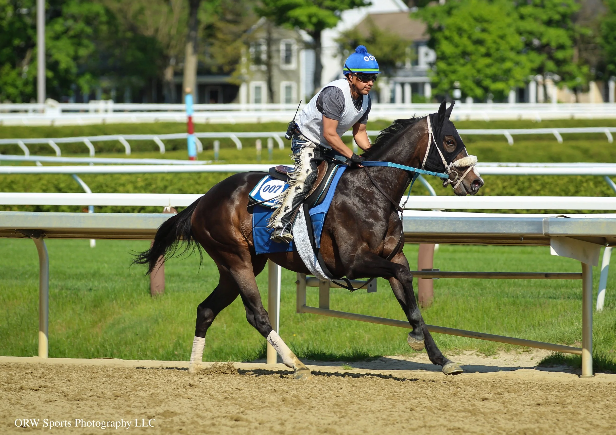 Amazing Gracer. She finished fourth last time out at Aqueduct. 